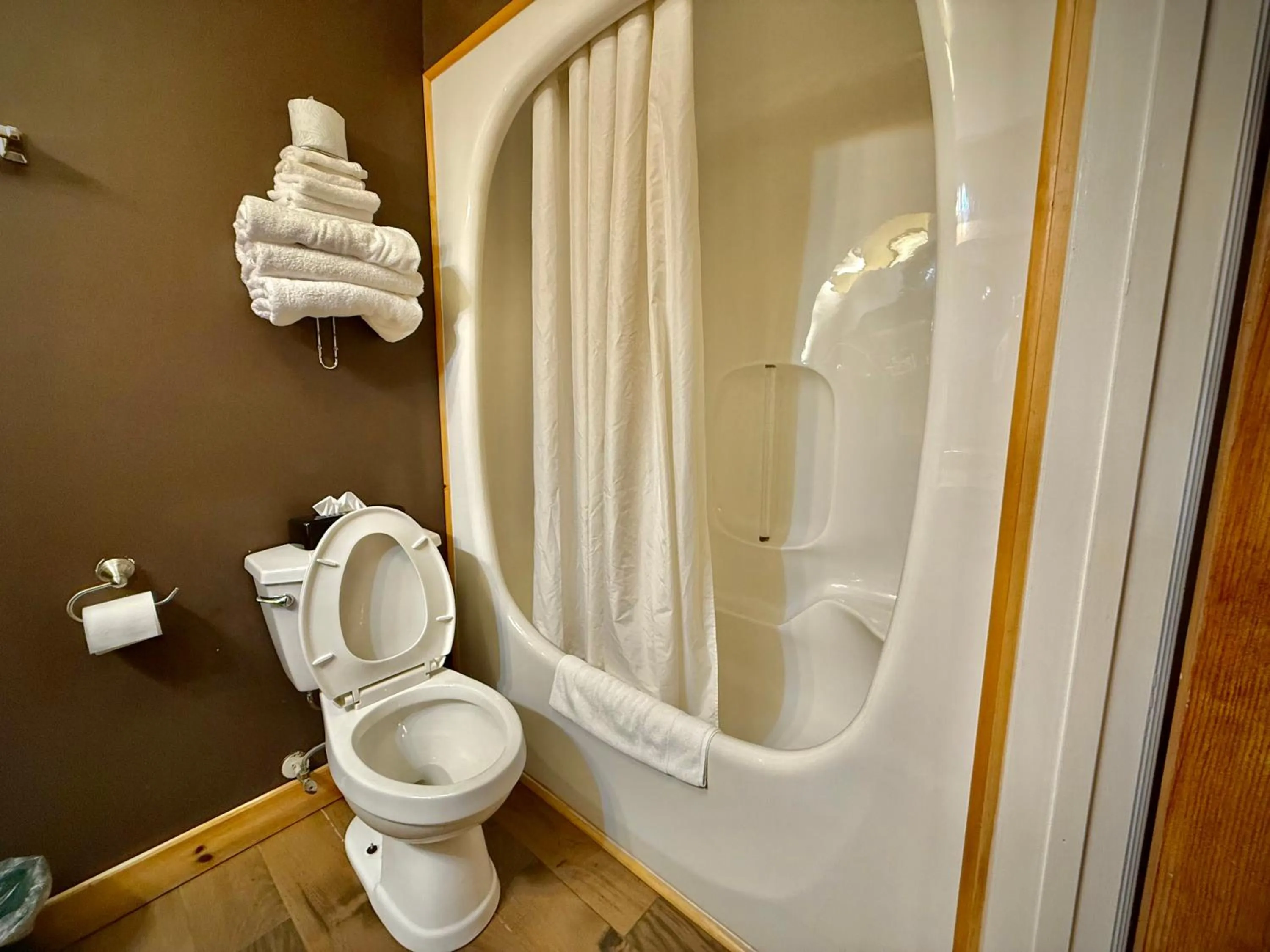 Shower in Quality Inn Fort Frances