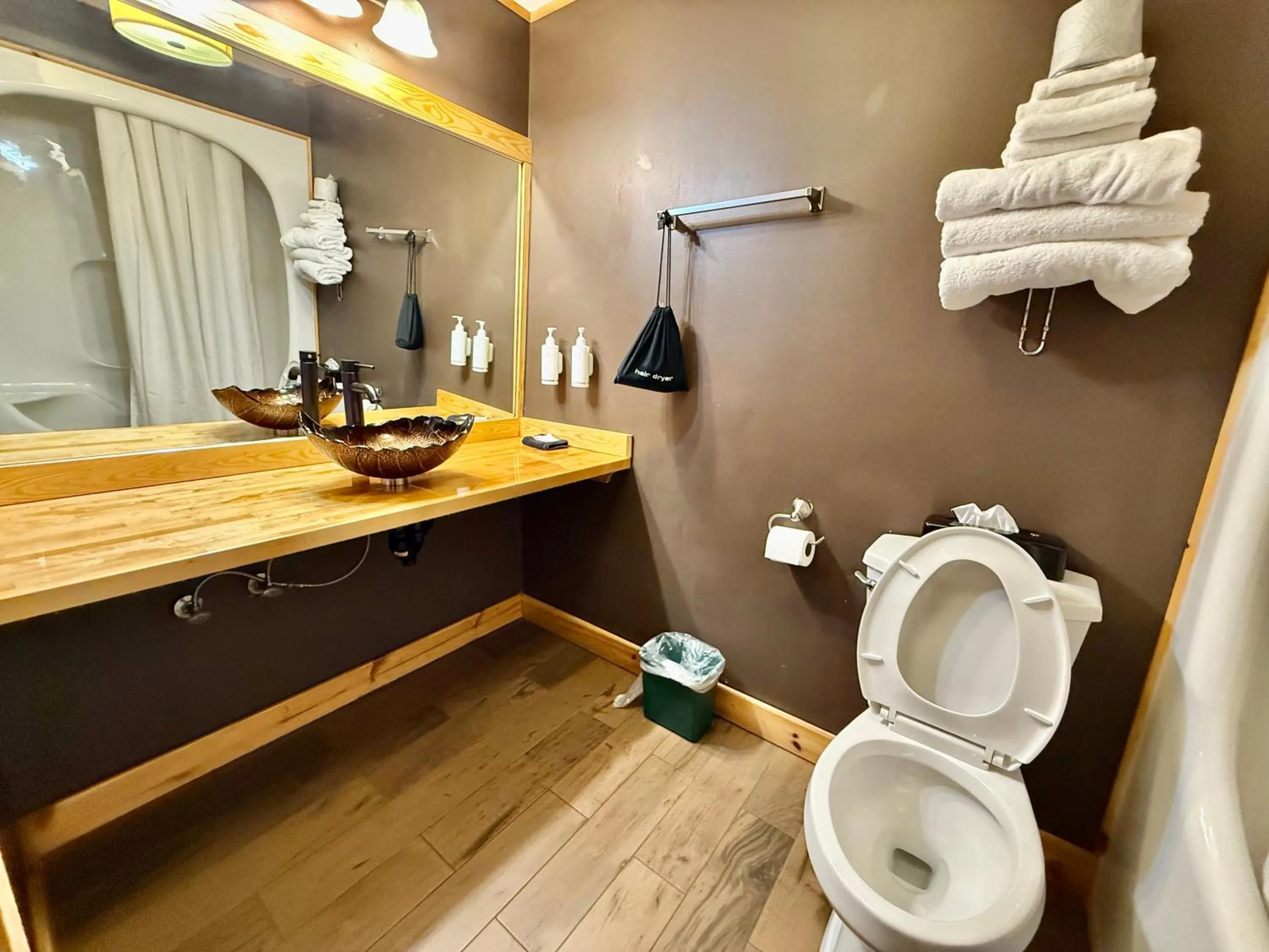 Shower in Quality Inn Fort Frances