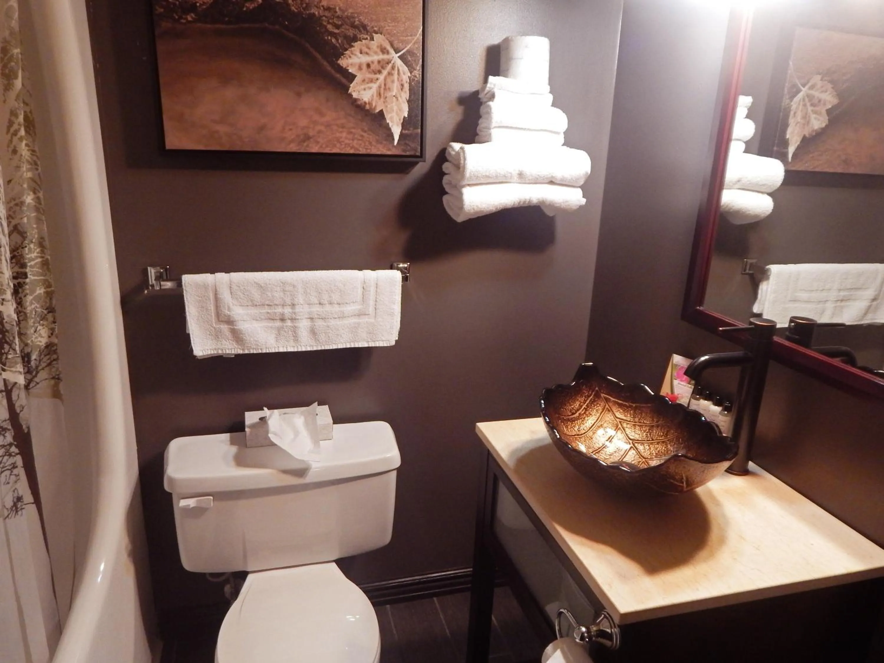 Toilet in Copper River Inn