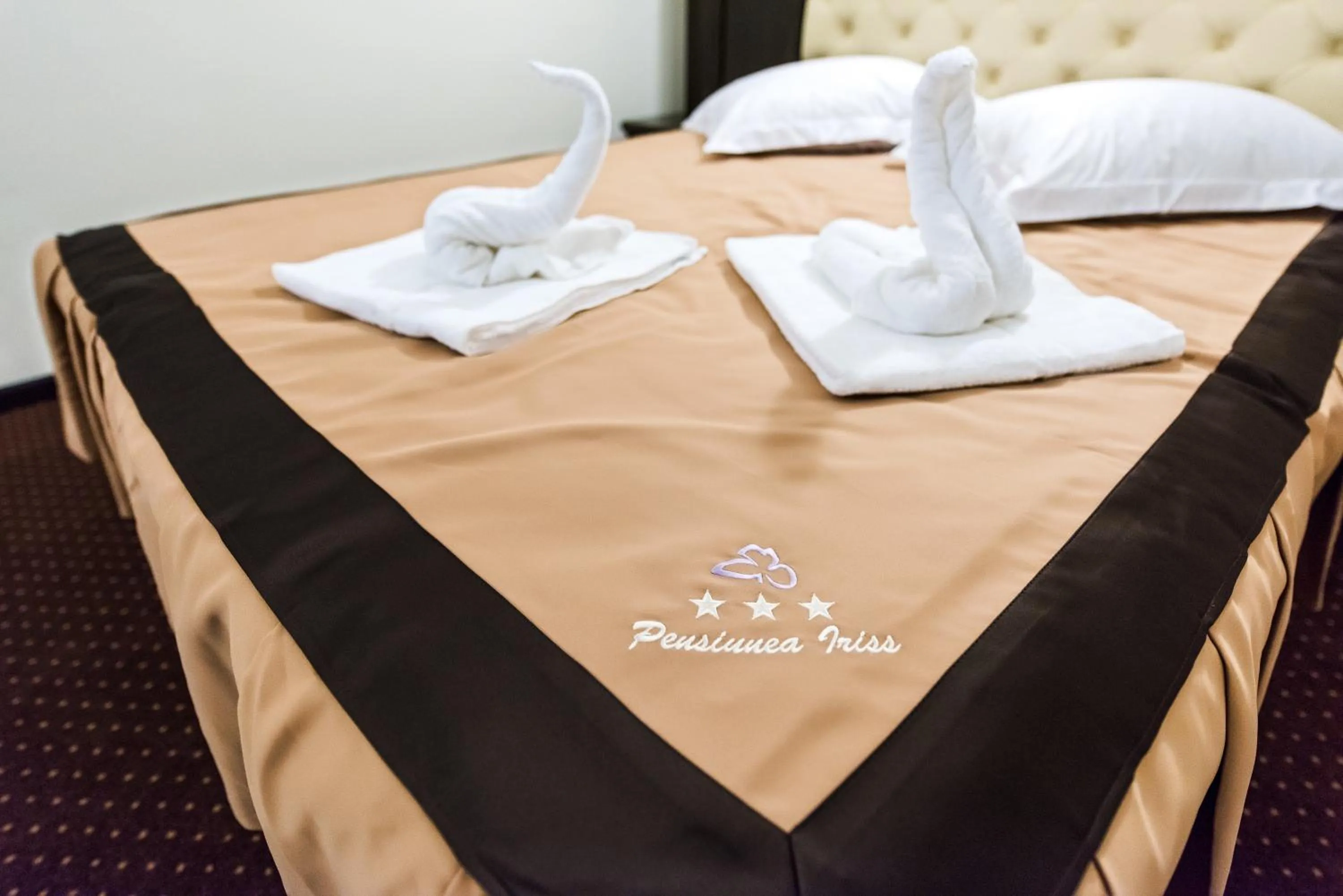 Bed in Pensiunea Iriss