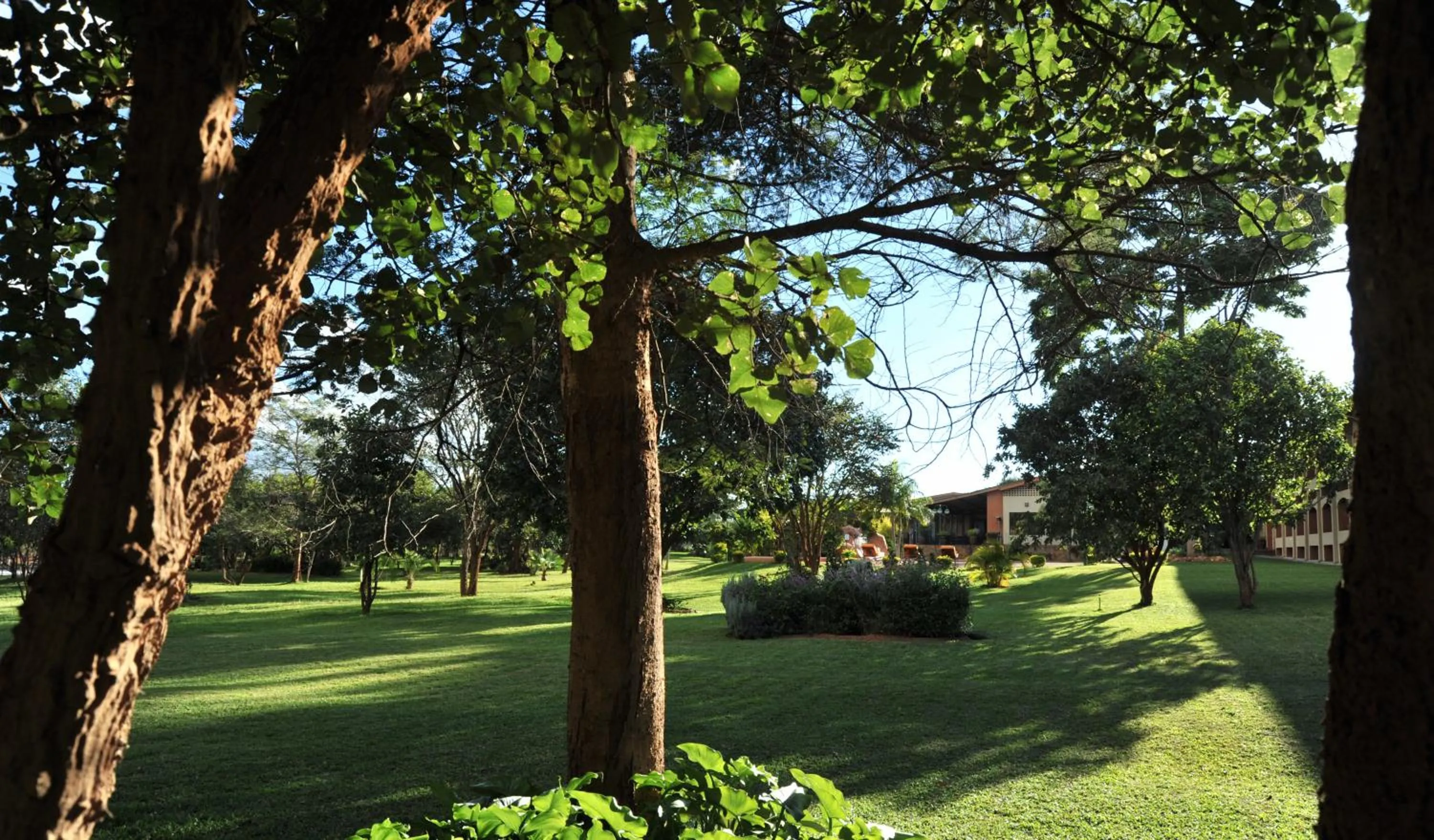 Property building in M'kango Golfview Hotel