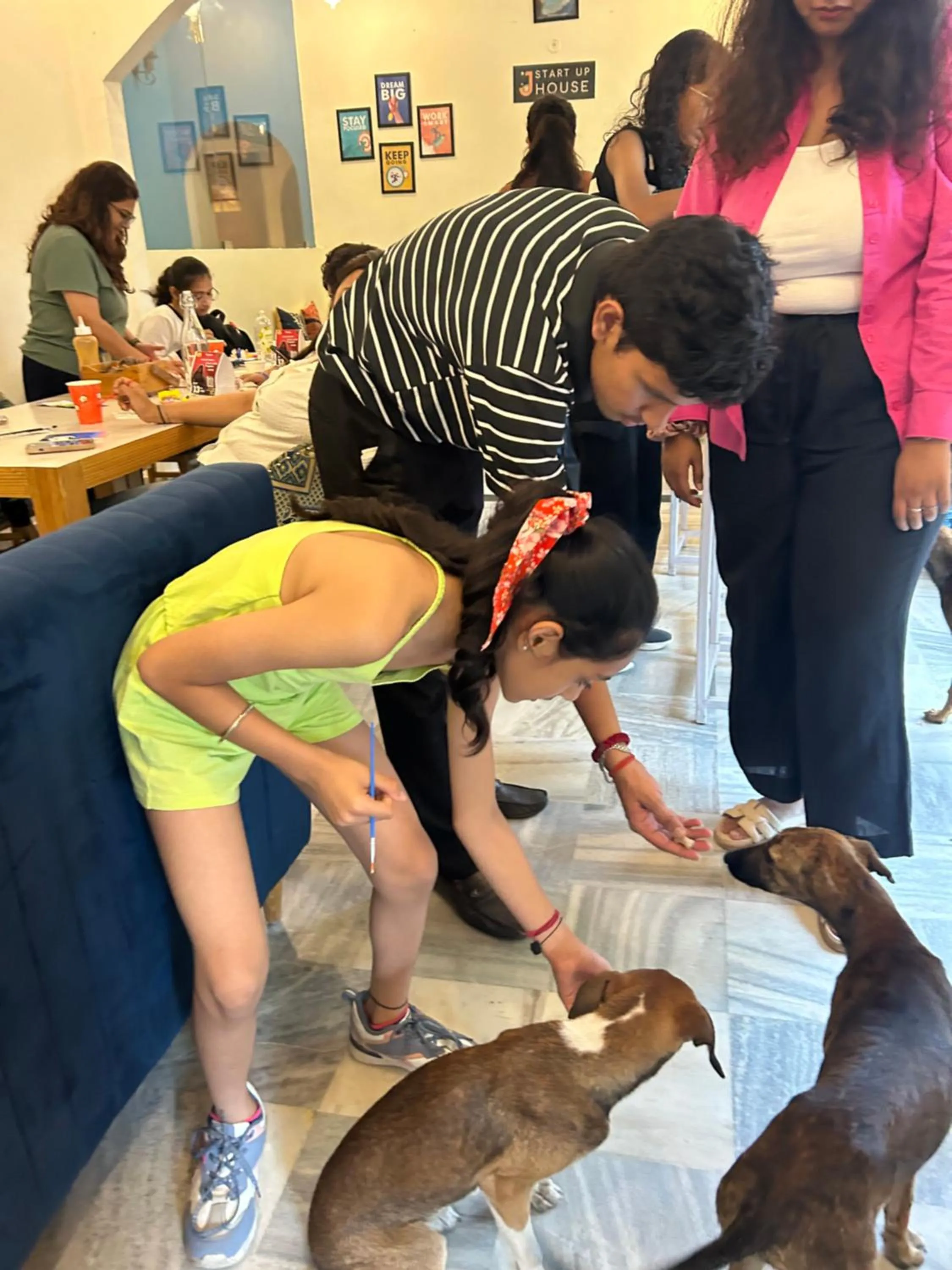 pet friendly in J Startup House, Jaipur - C Scheme