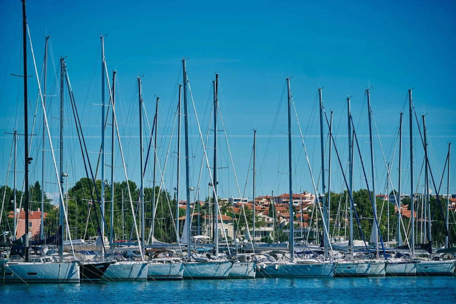 Activities in Al Porto Suites - NEW!