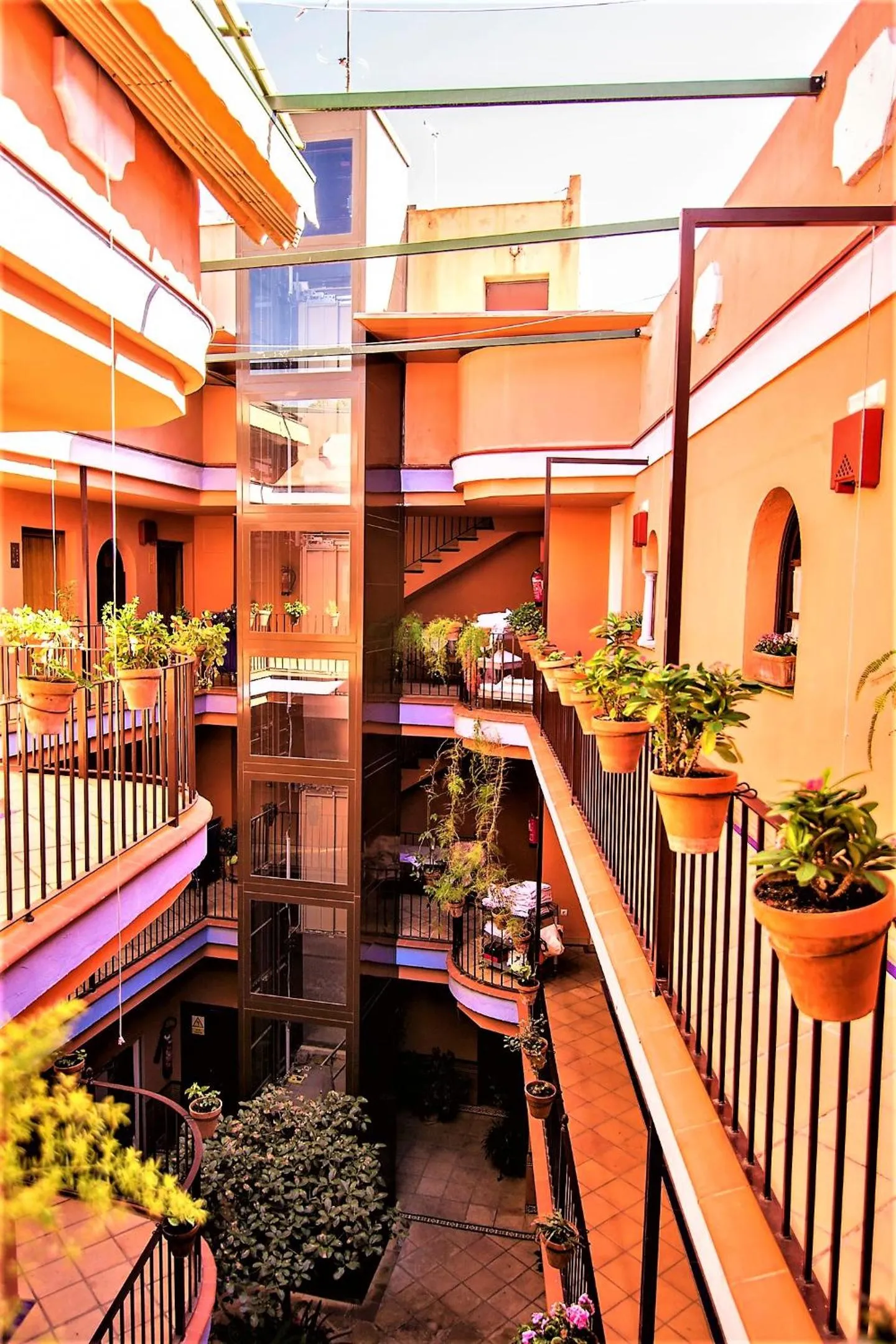 Patio in Patio de La Alameda