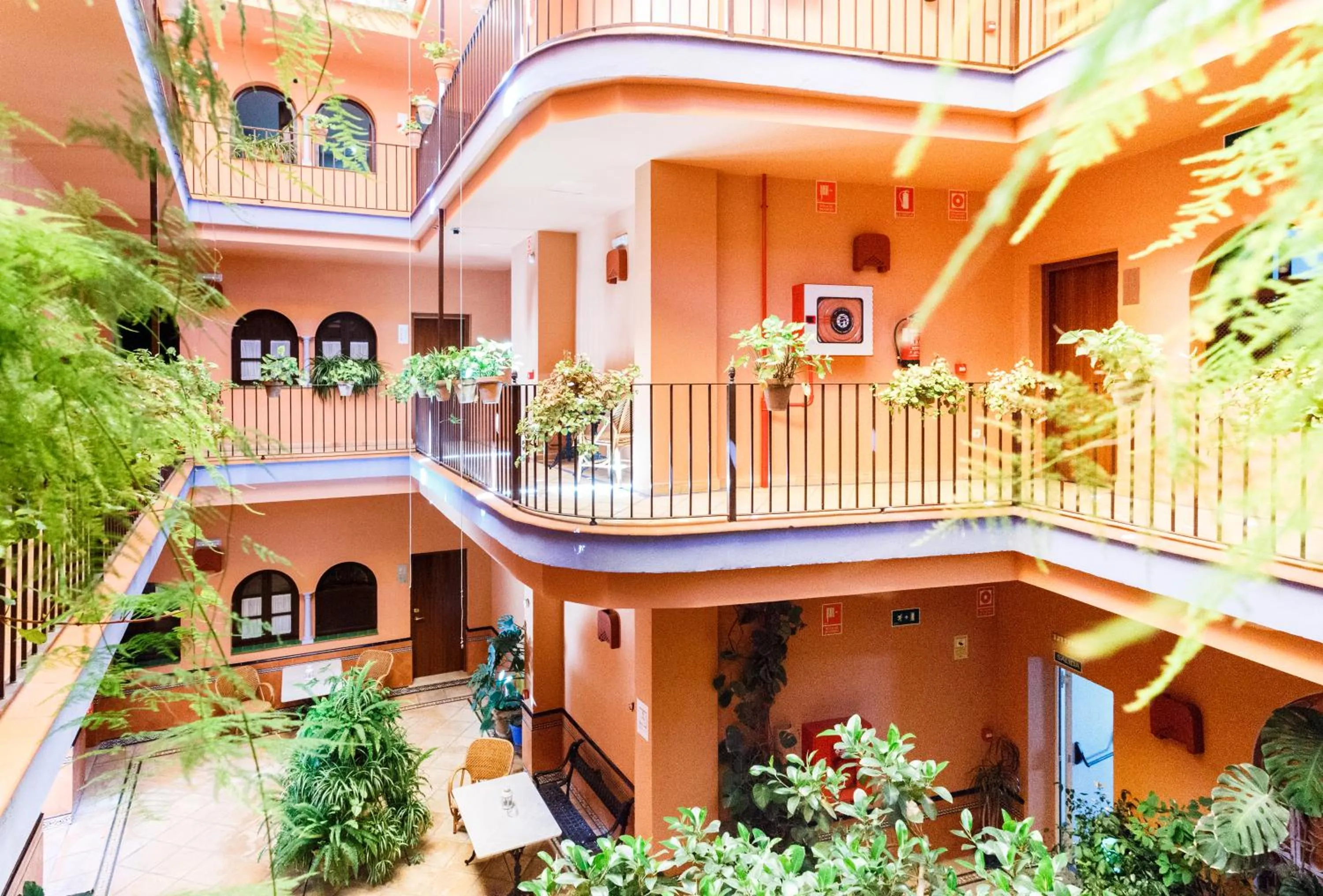 Patio in Patio de La Alameda