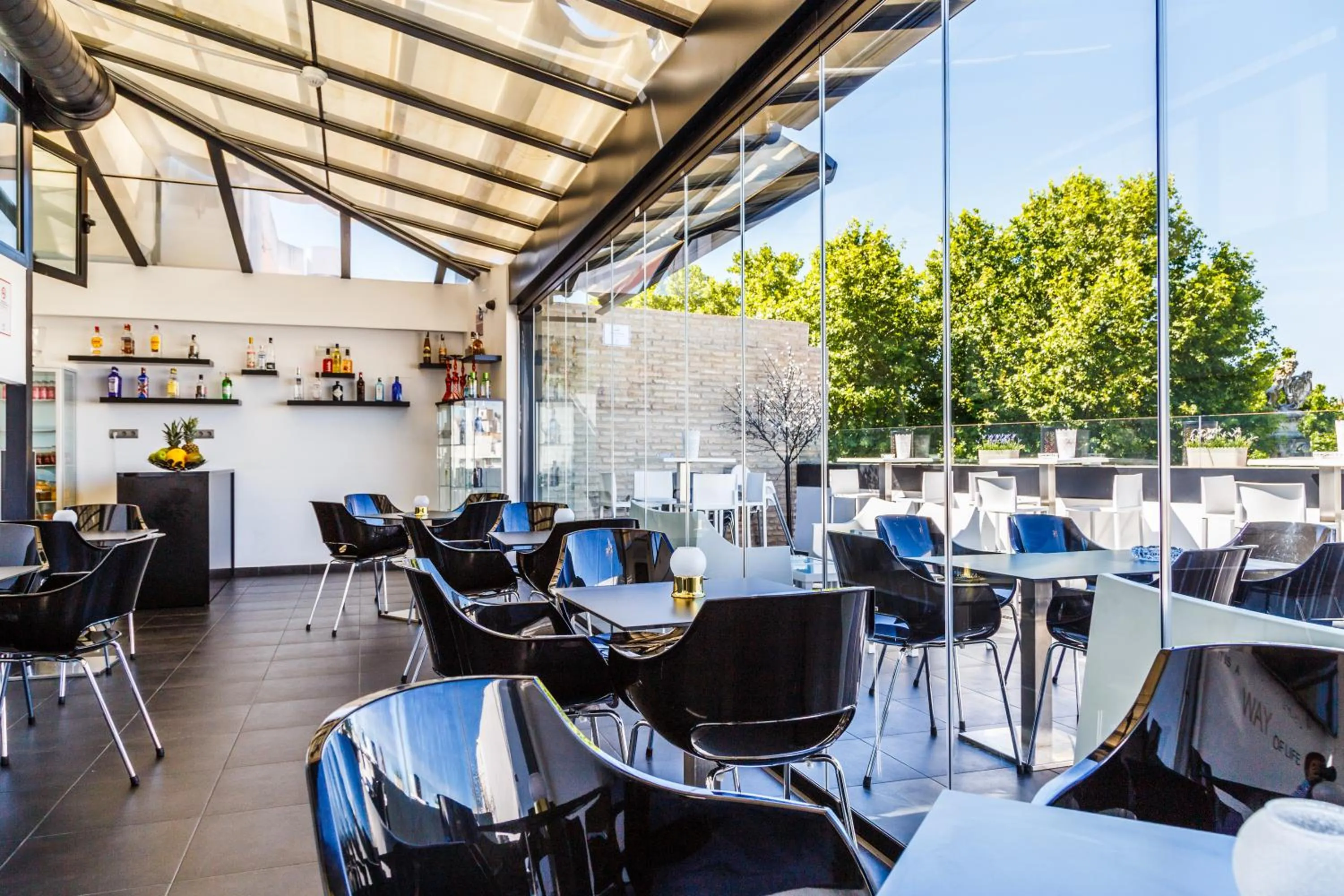 Restaurant/places to eat in Patio de La Alameda