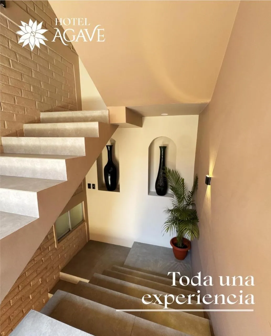 Hotel Casa Agave
