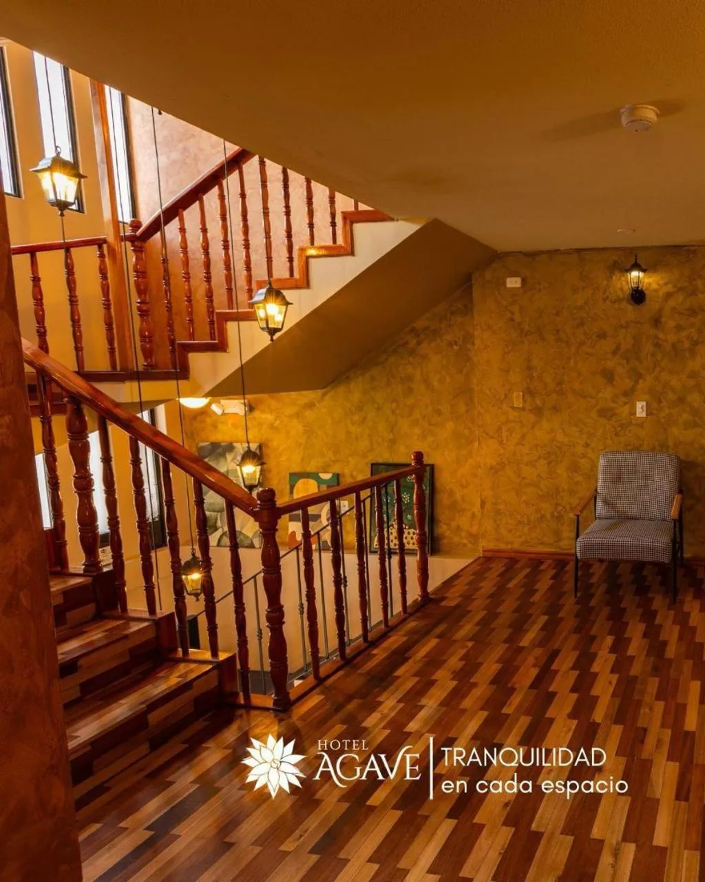 Area and facilities in Hotel Casa Agave