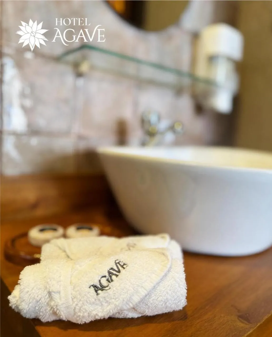 Hotel Casa Agave