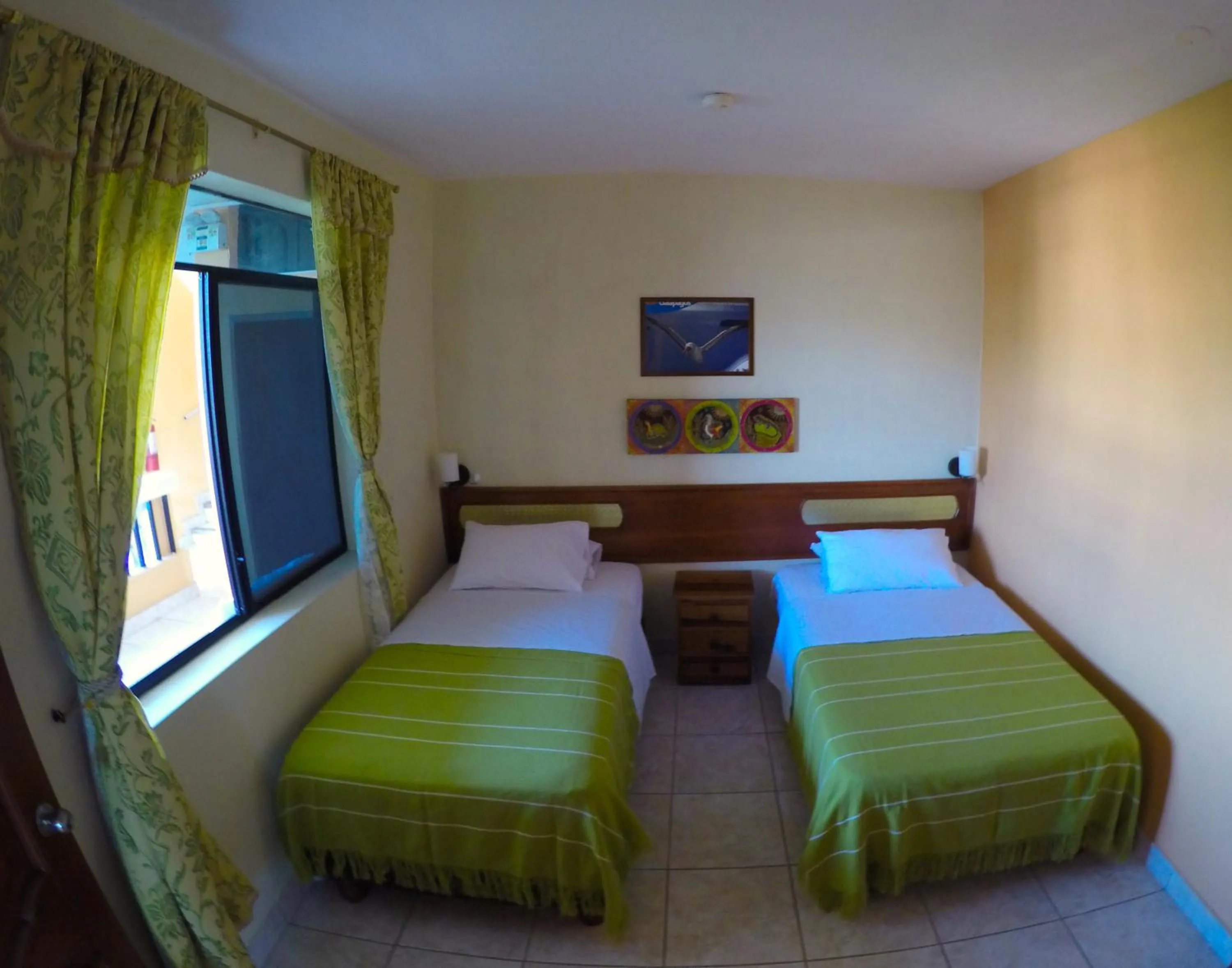 Budget Twin Room in Dolphin House