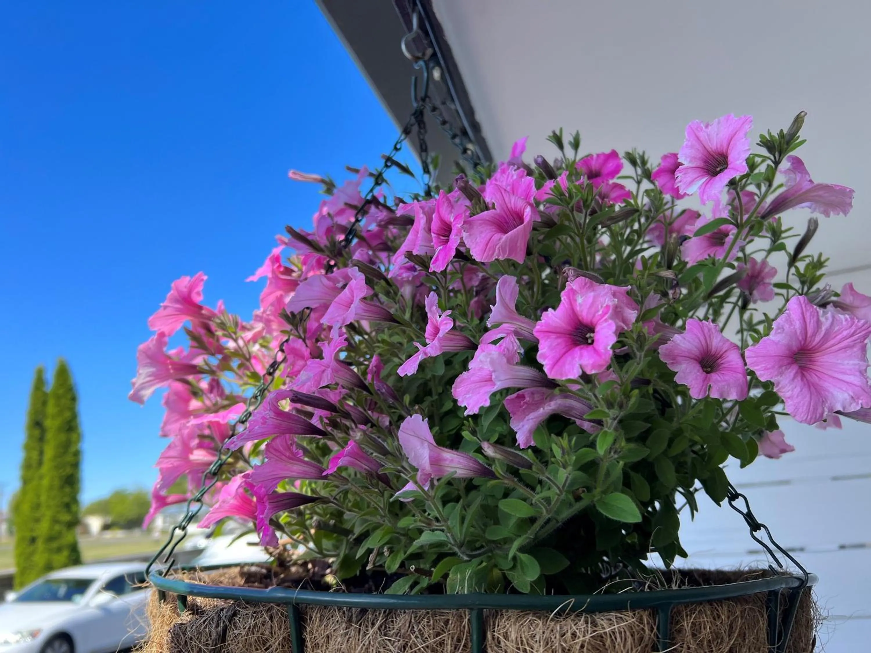 Property building in Ashbrook Motel Taupo