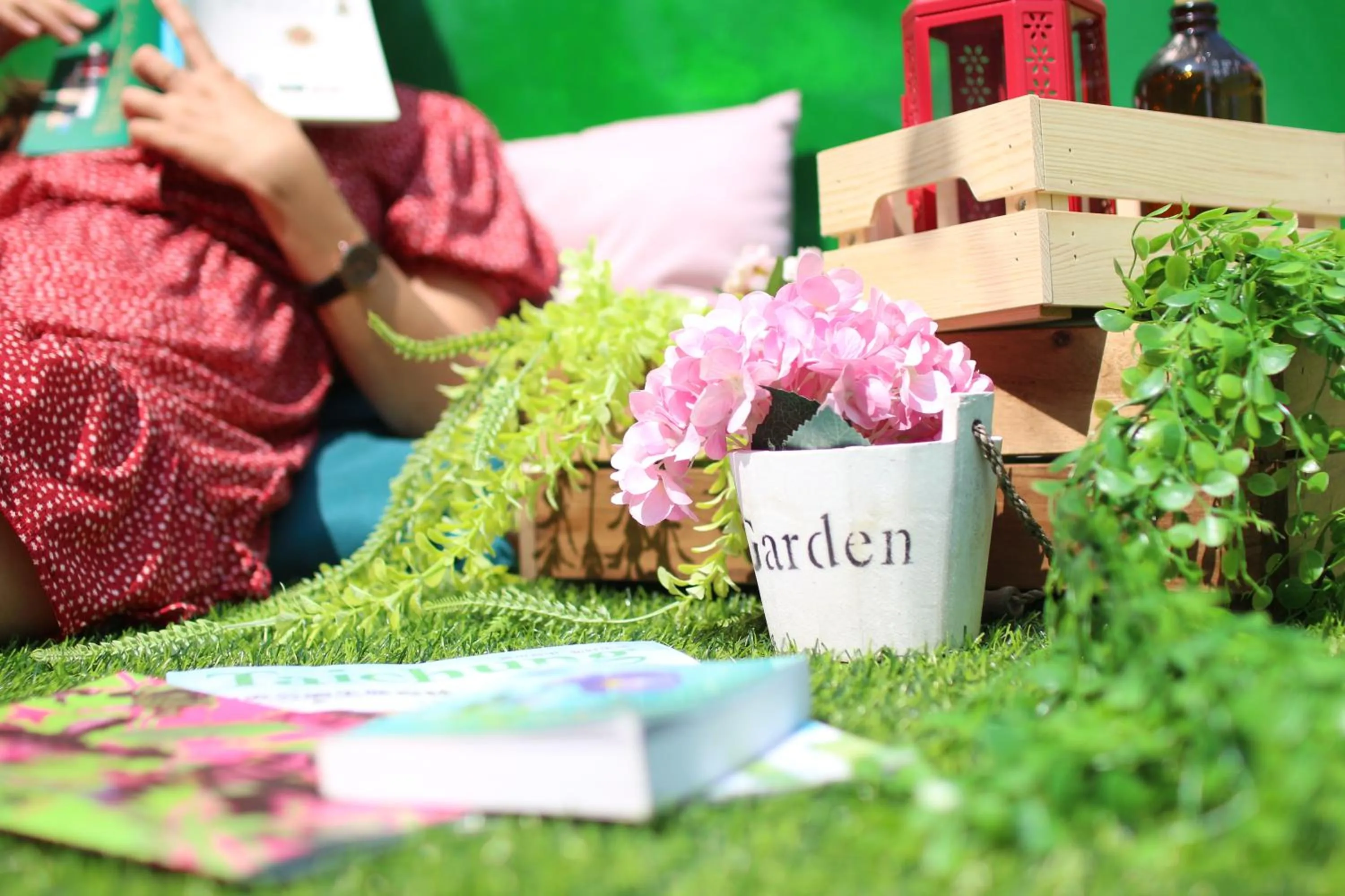 Garden in T-Life Hostel