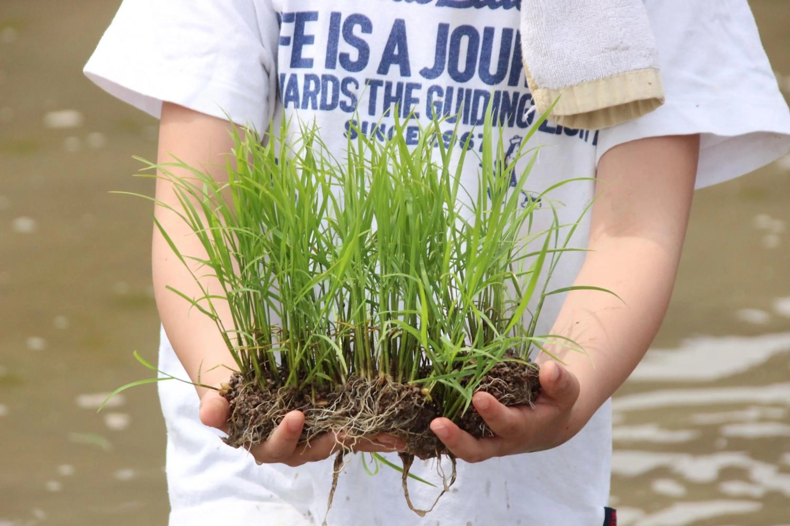 Food and drinks in HARUYA Umekoji