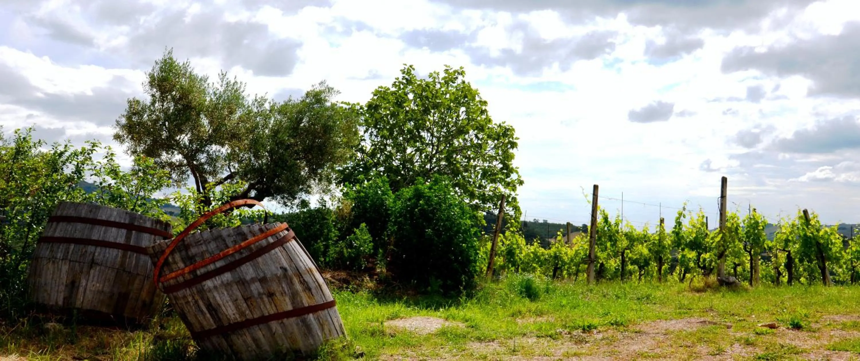 Property building in Casale il Cerqueto