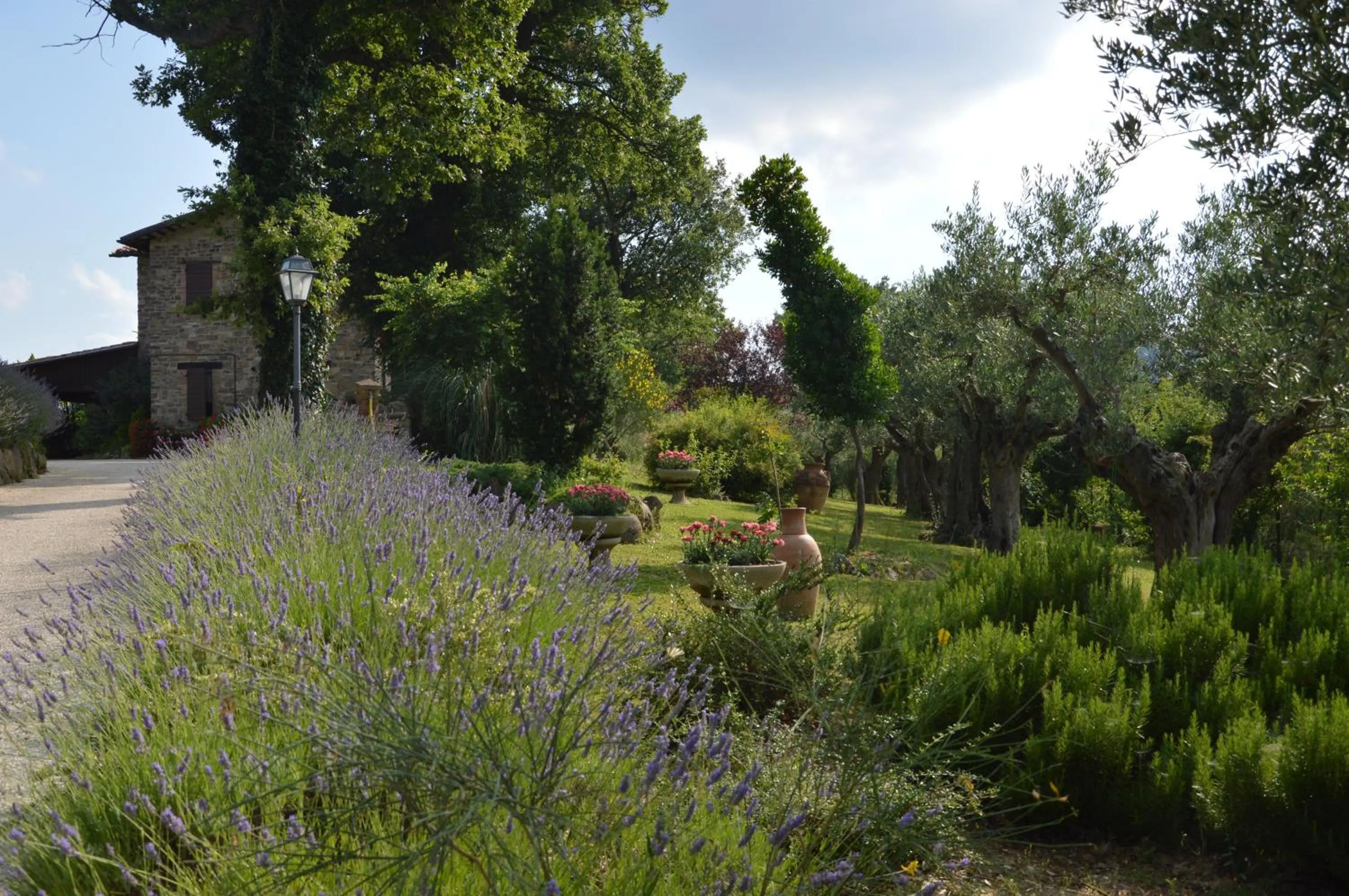 Day in Casale il Cerqueto