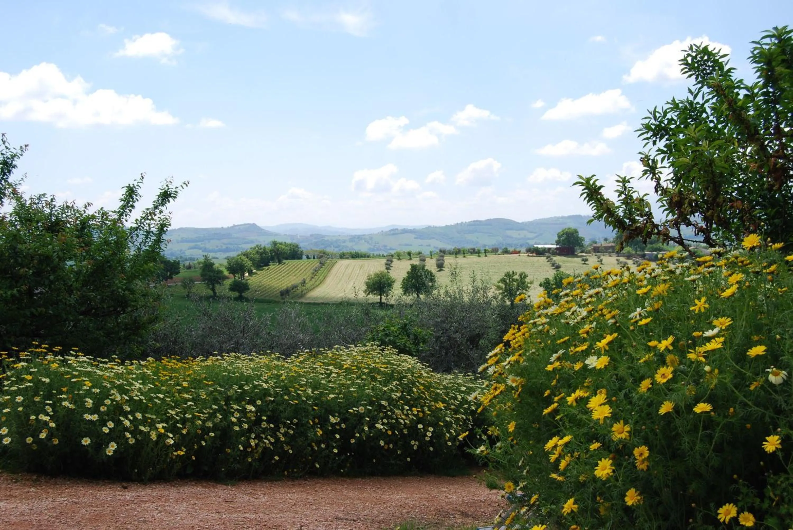 Spring in Casale il Cerqueto