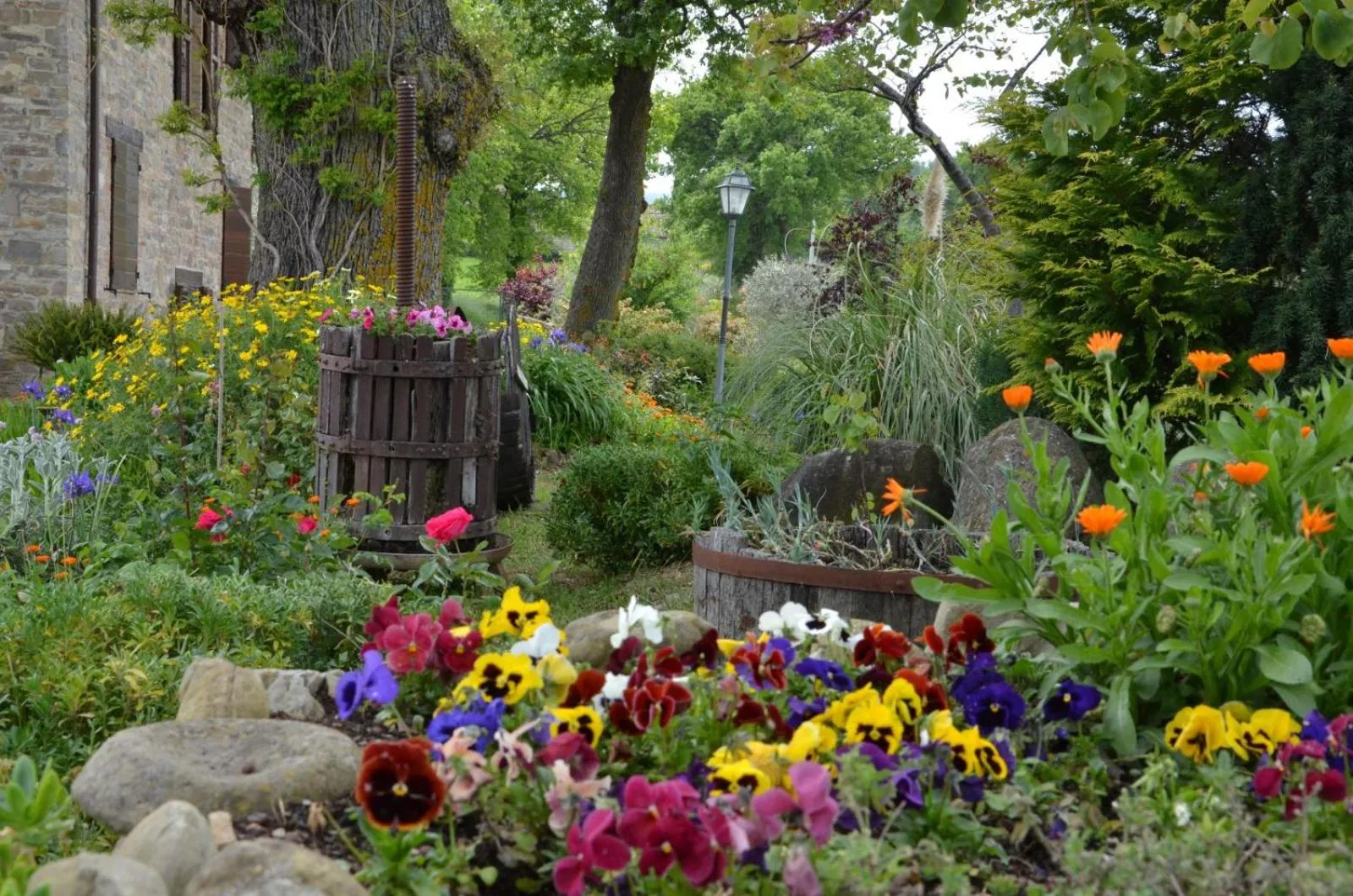 Garden in Casale il Cerqueto