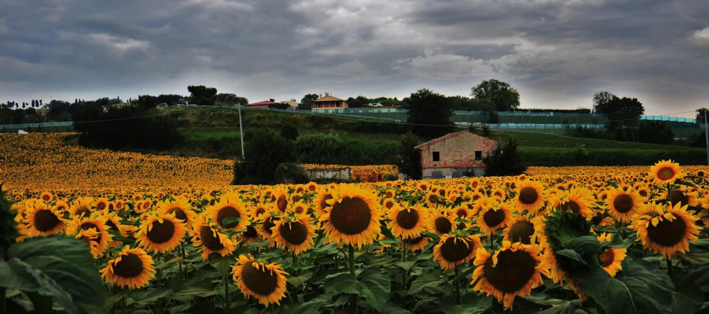 Property building in Casale il Cerqueto