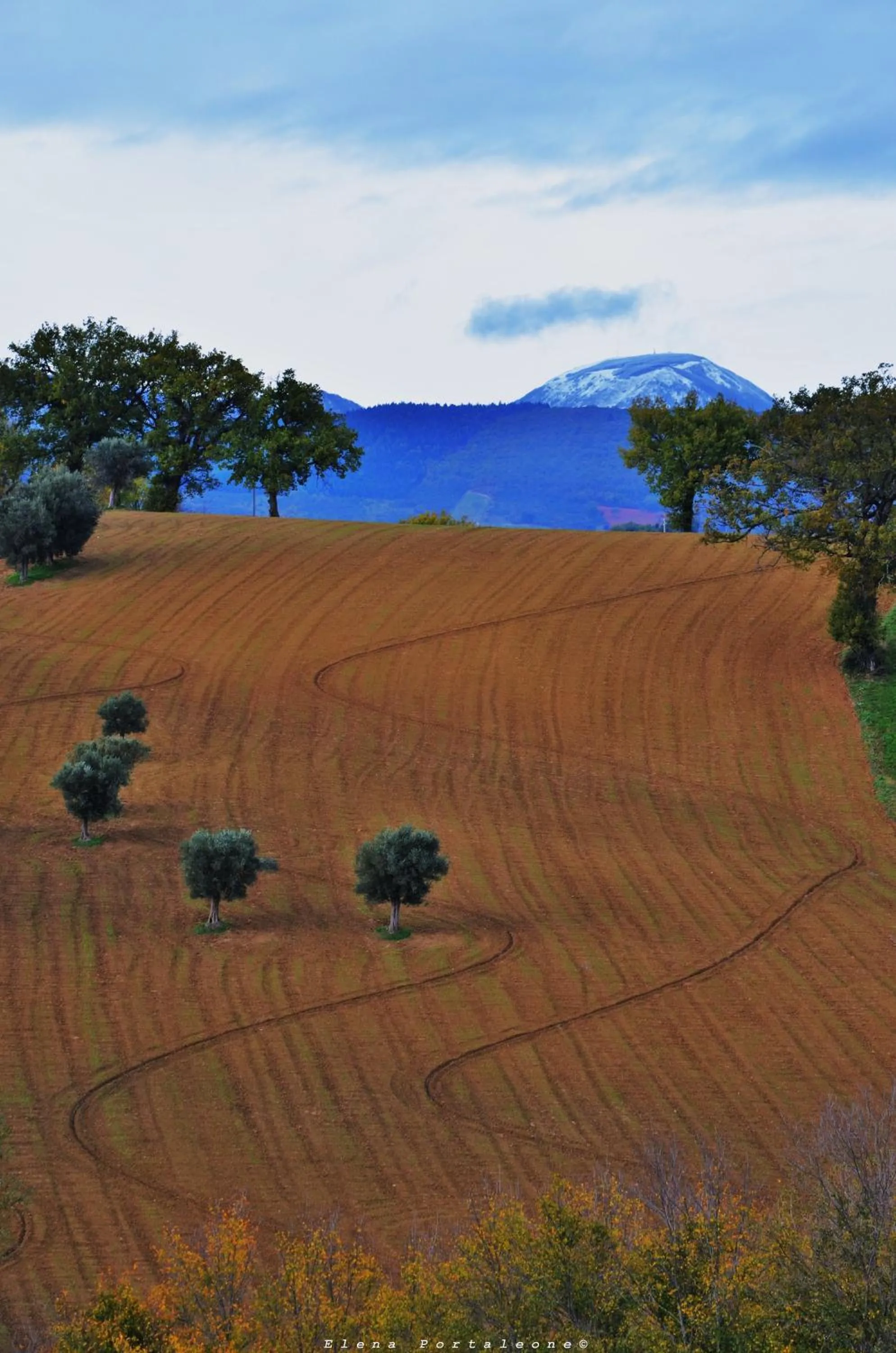 Nearby landmark in Casale il Cerqueto