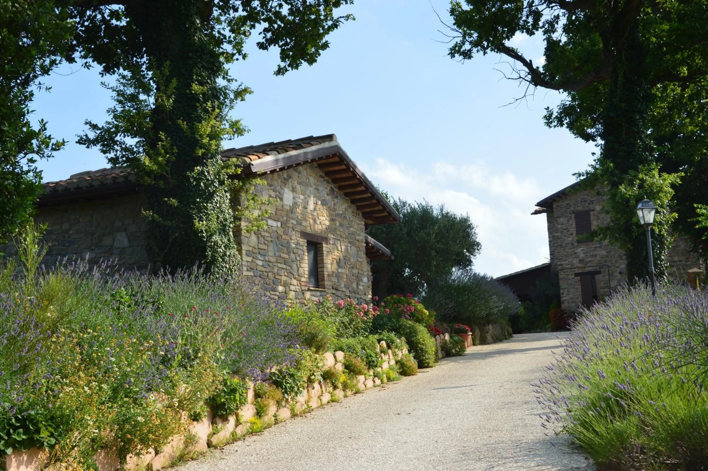 Facade/entrance in Casale il Cerqueto