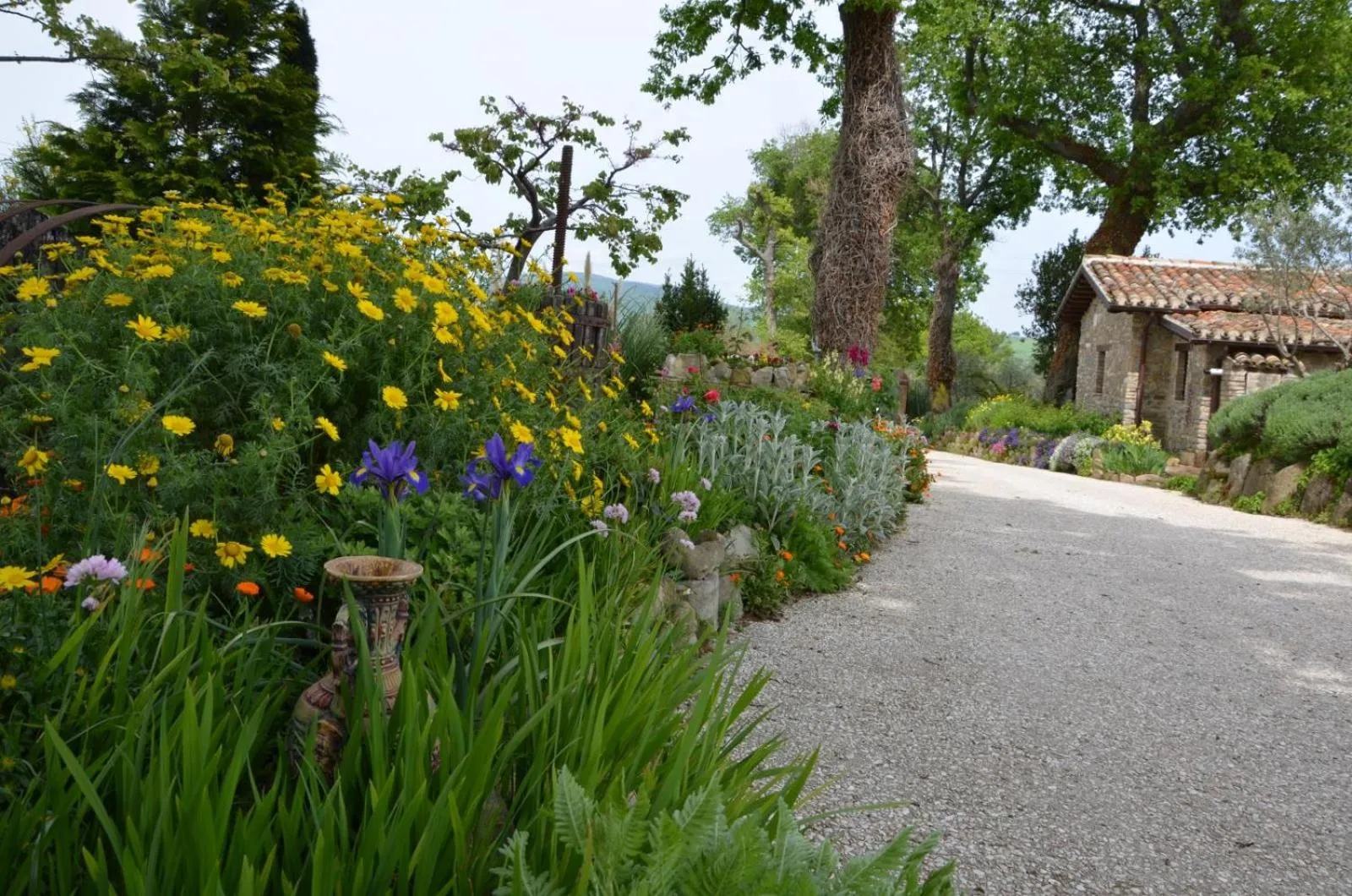 Day in Casale il Cerqueto