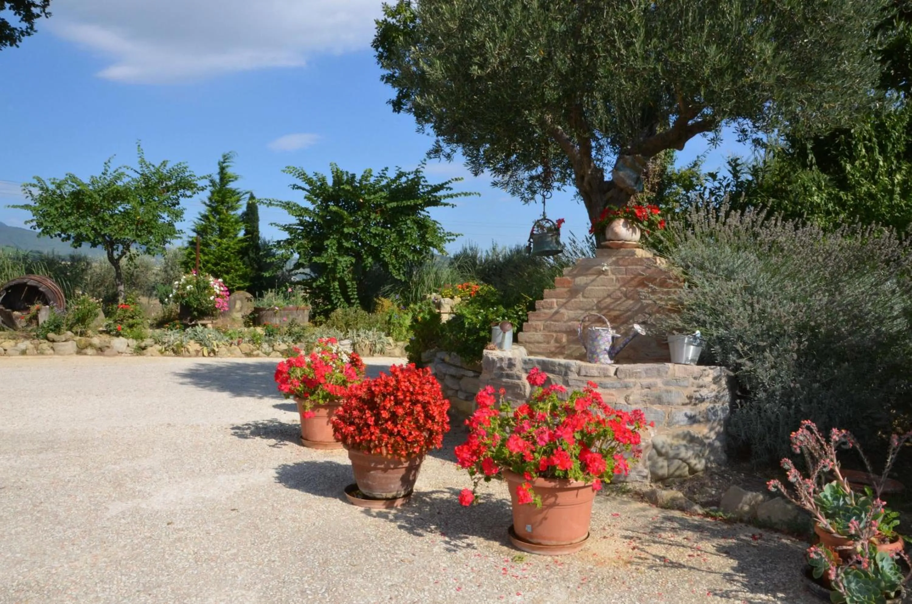 Day in Casale il Cerqueto
