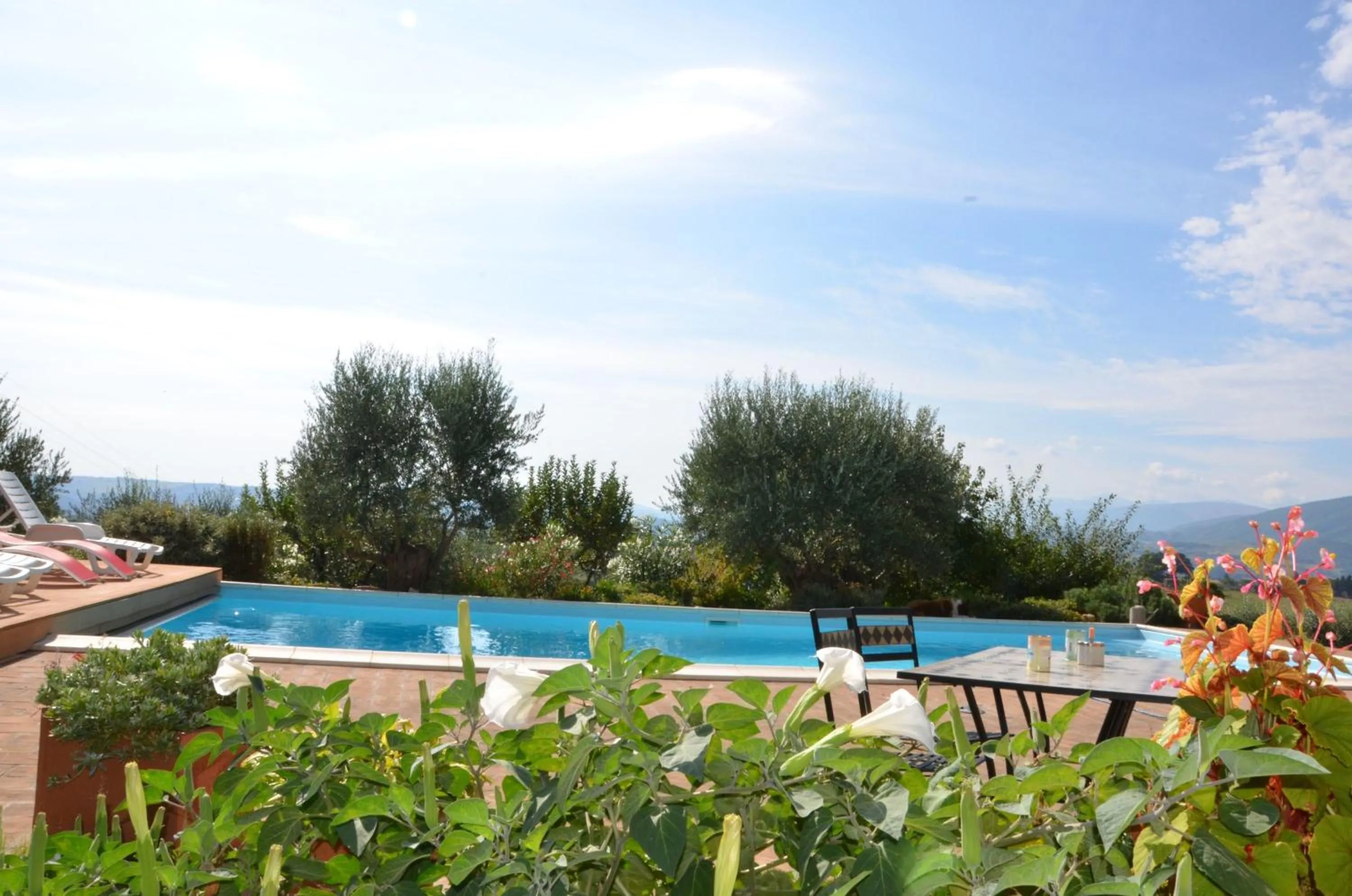 Summer in Casale il Cerqueto
