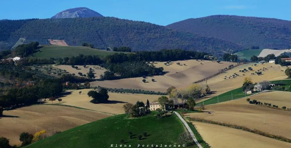 Natural landscape in Casale il Cerqueto