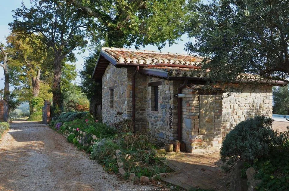 Natural landscape in Casale il Cerqueto