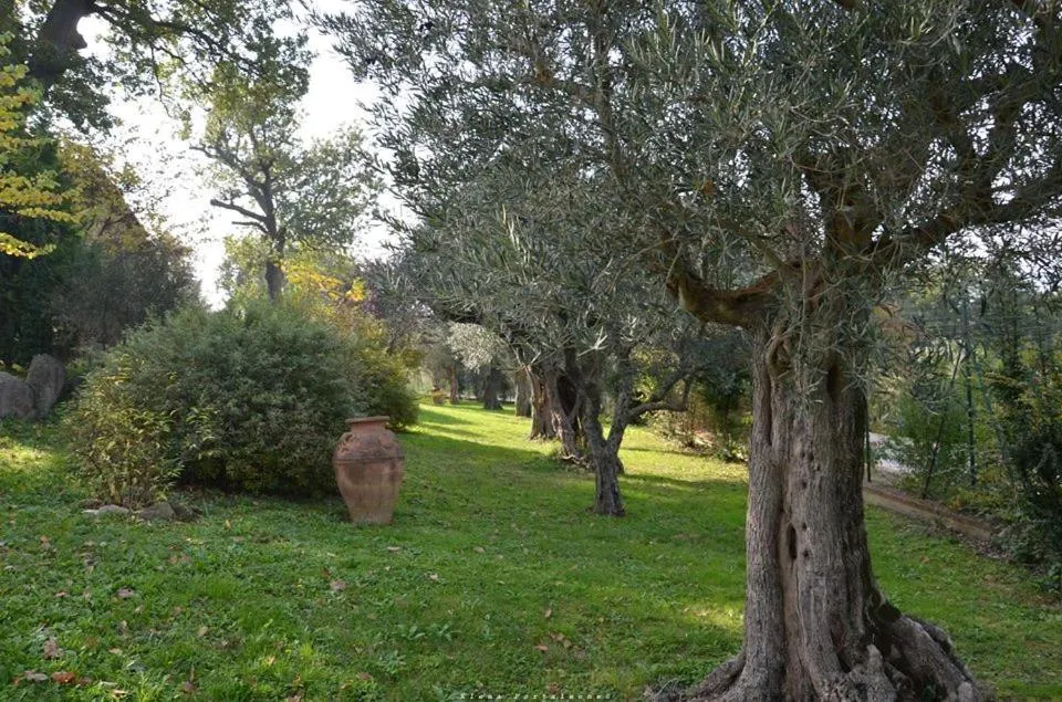 Garden in Casale il Cerqueto