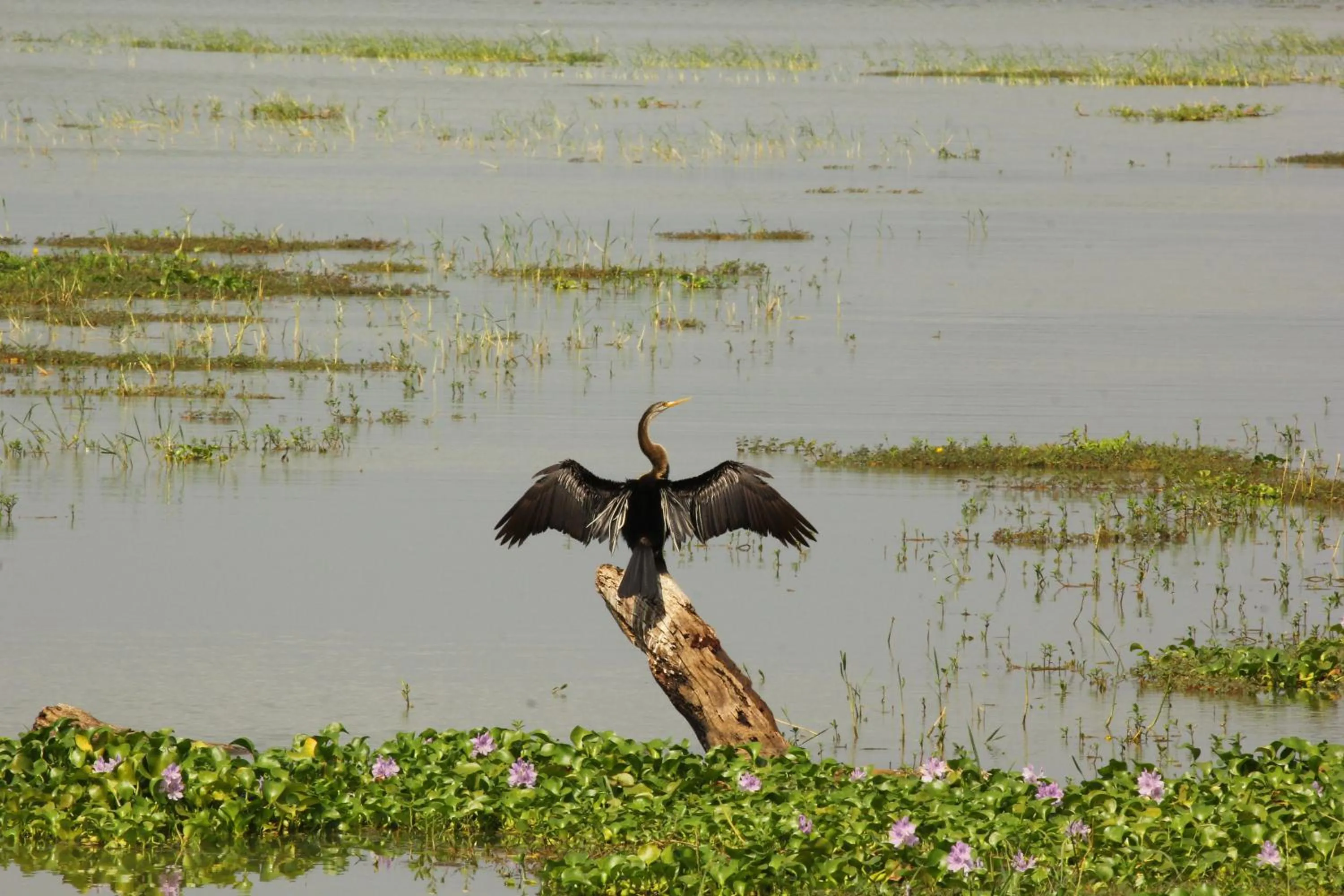Bird's eye view in Wila Safari Hotel