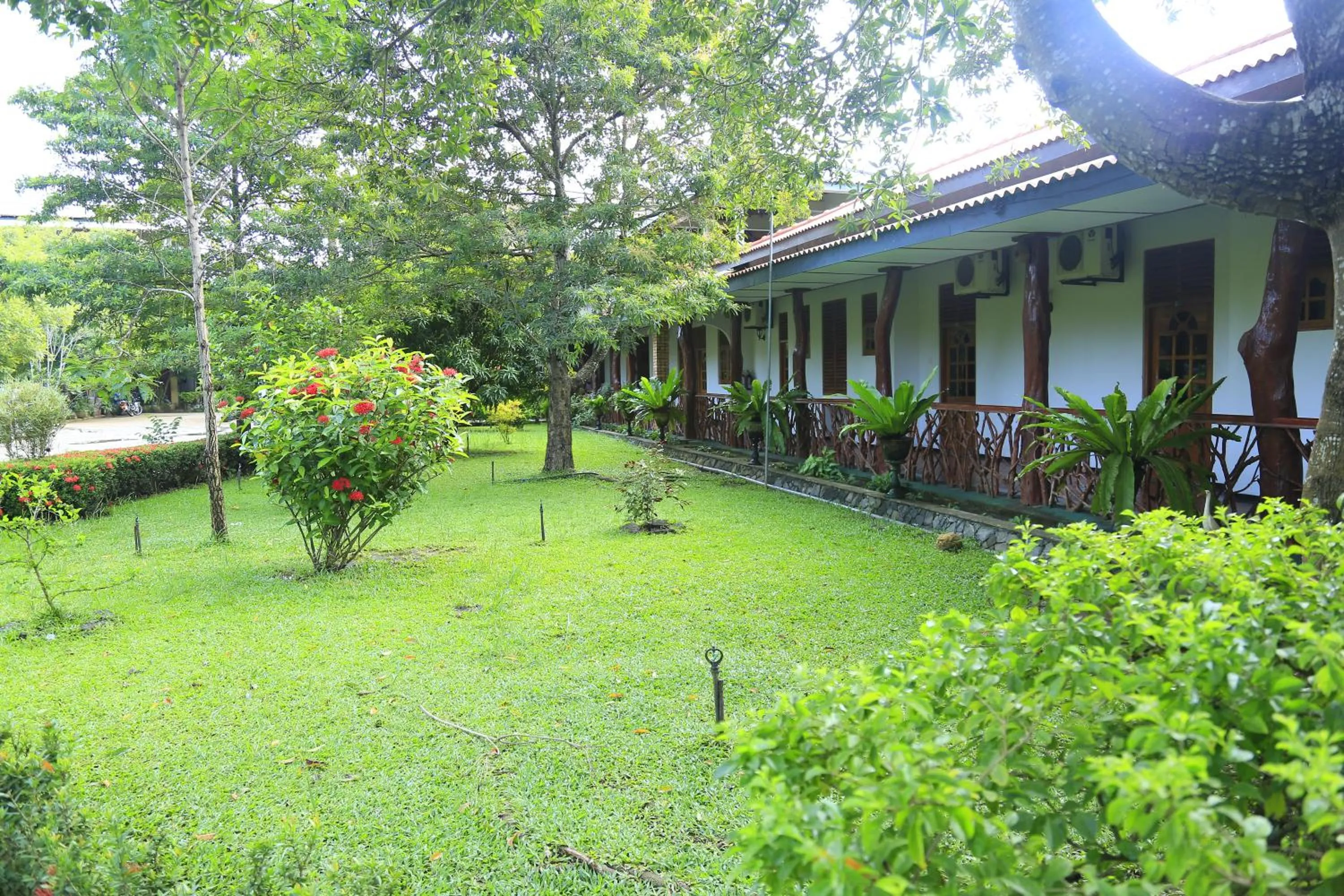 Garden in Wila Safari Hotel