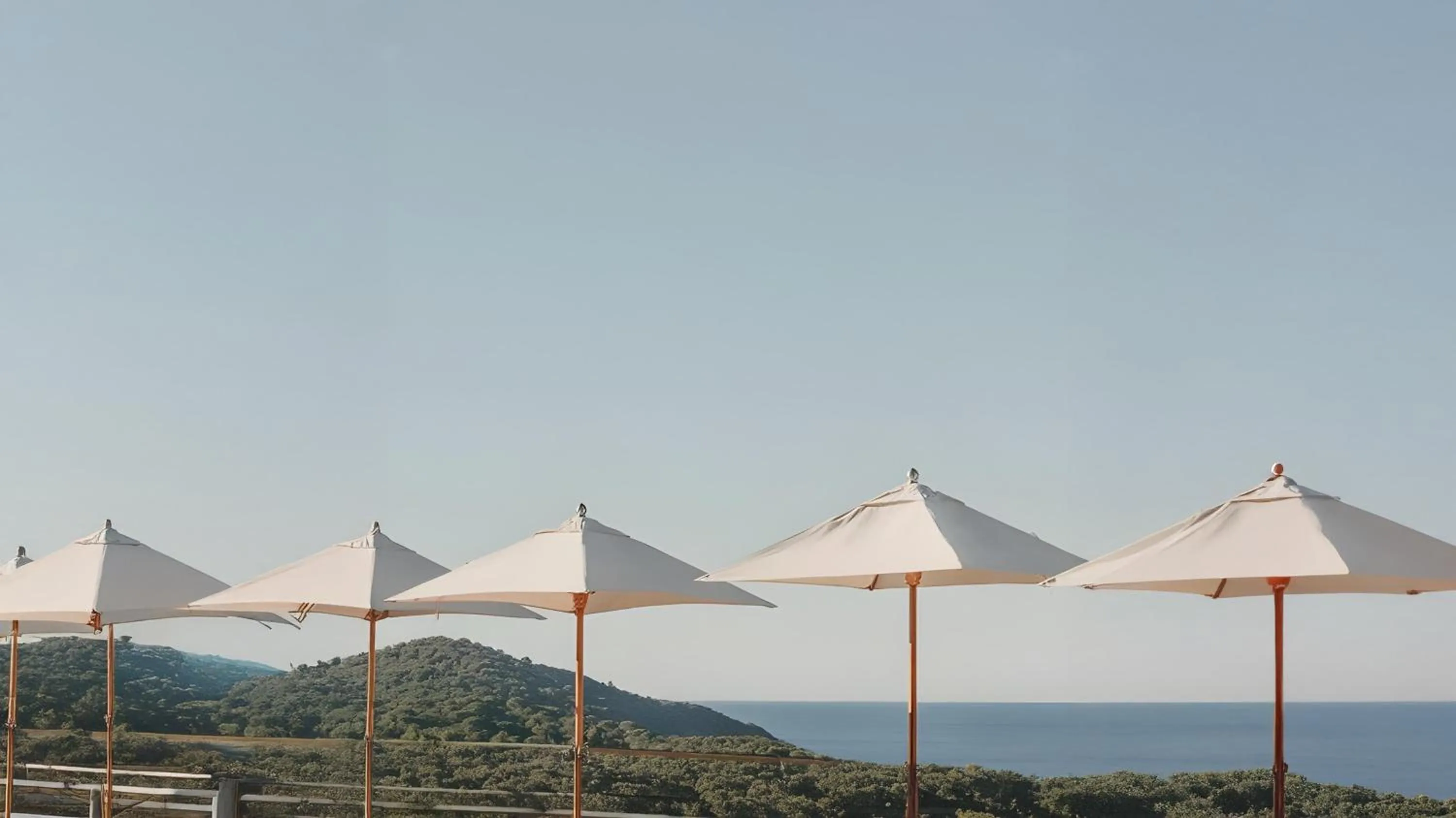 Swimming pool in Hotel Indigo Gandia Beach by IHG