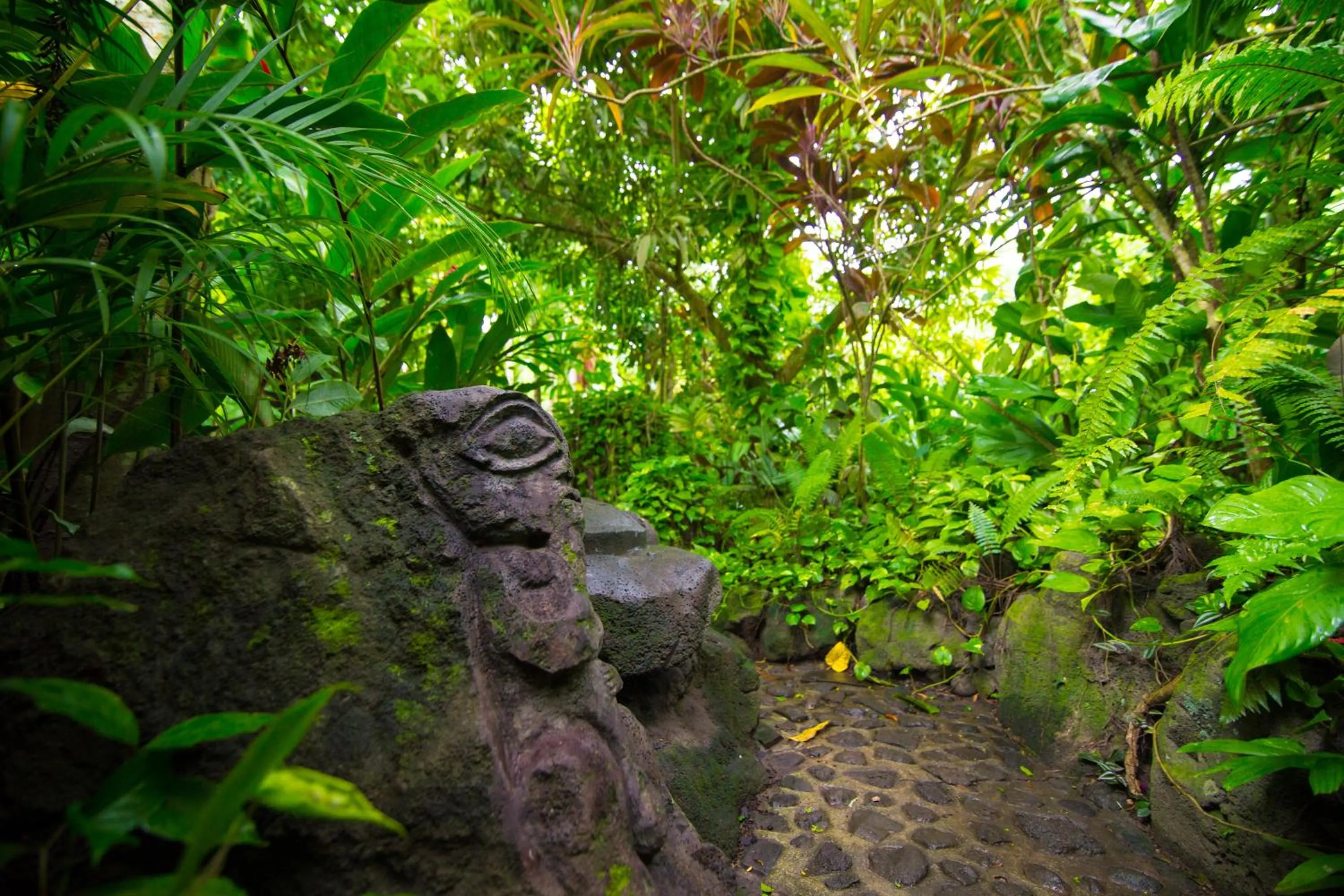 Garden in Rohotu Fare