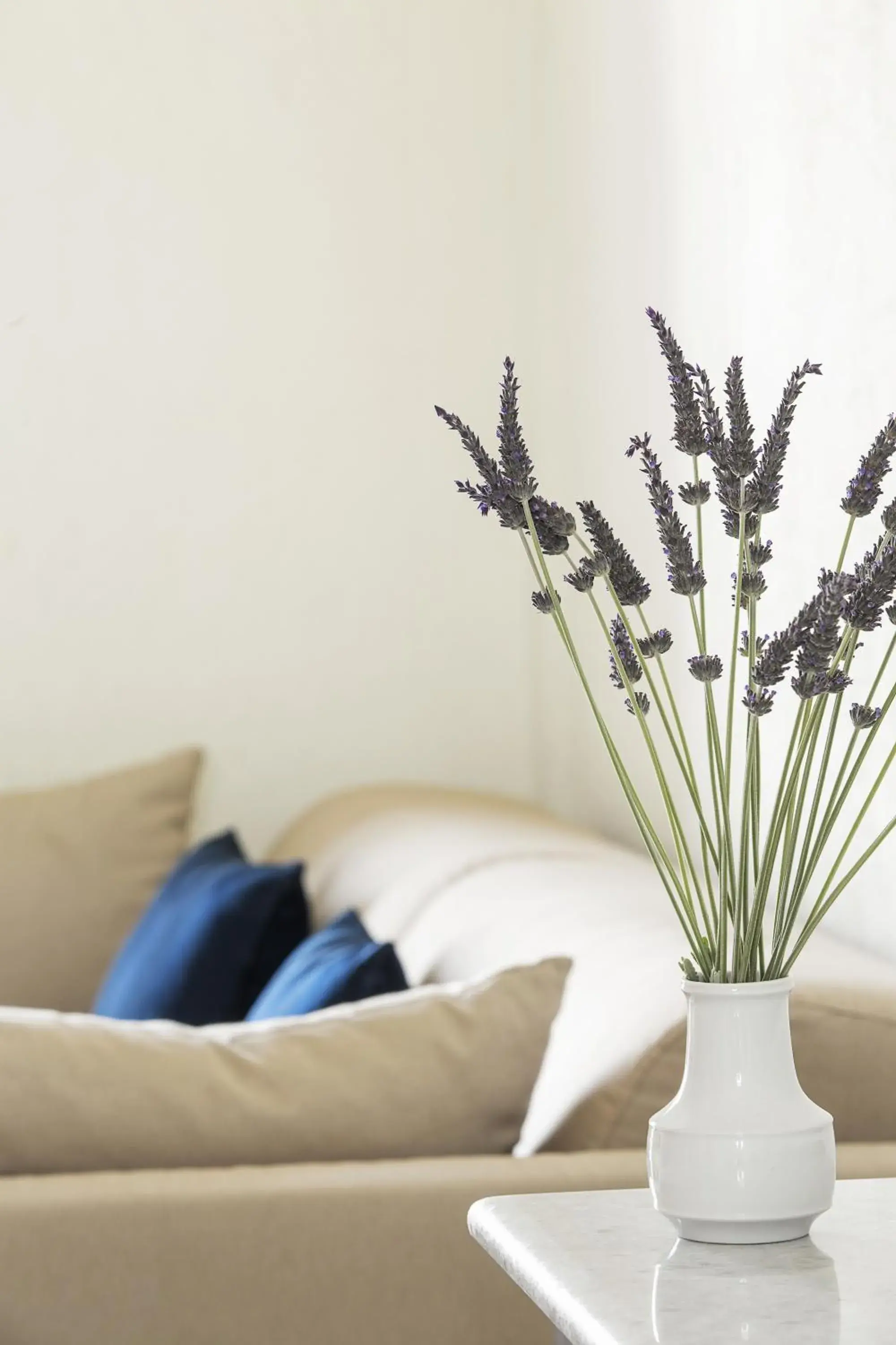 Lobby or reception in Contaratos Beach Hotel Lobby or reception in Contaratos Beach Hotel