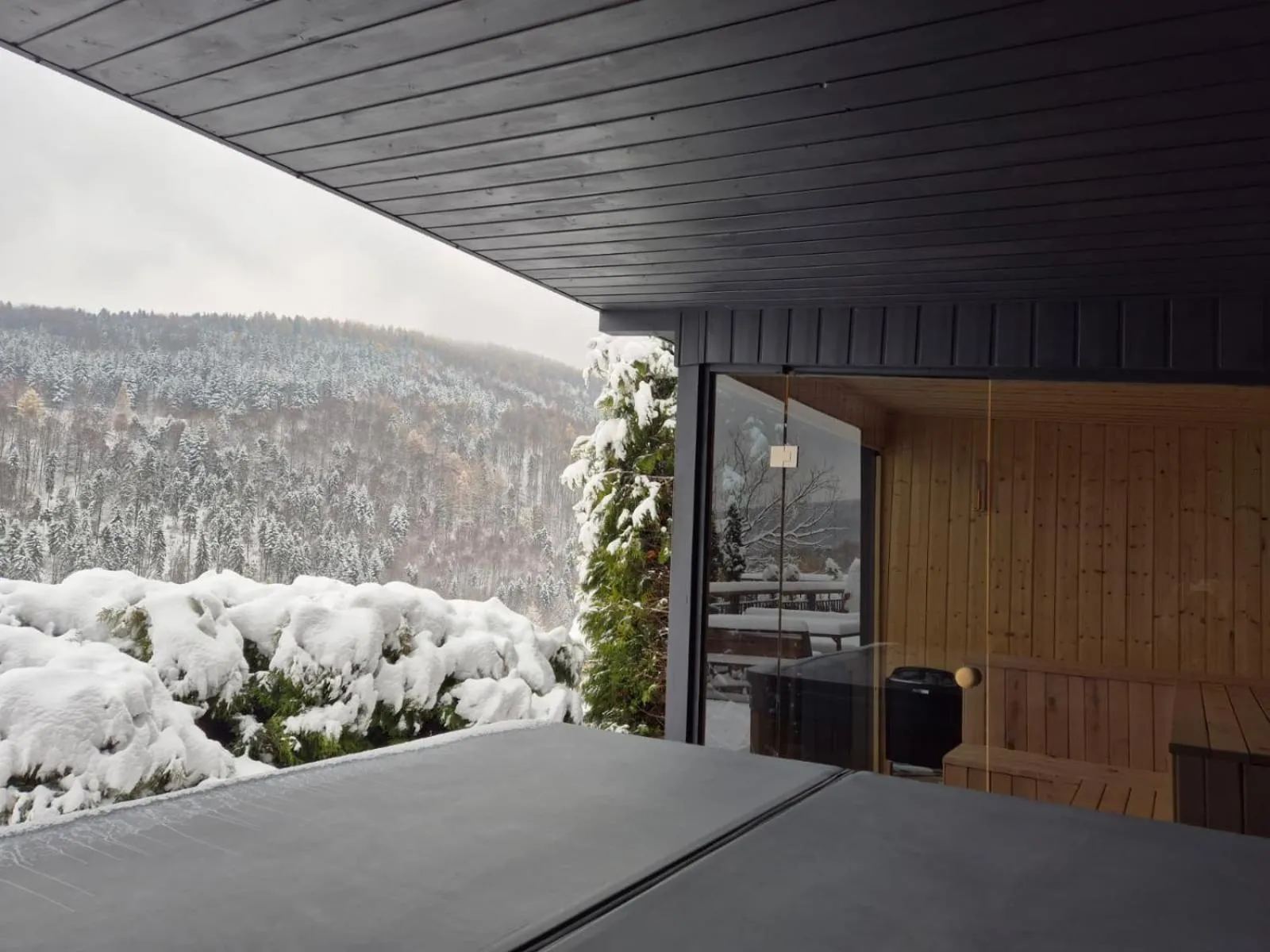 Sauna in Aspen Deluxe Residence & ASPEN cottage