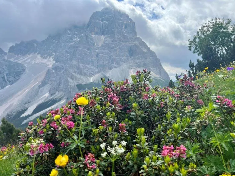 Balcony/Terrace in Residence Panorama