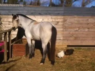 Day in Le Mazet Chambre d'Hôtes