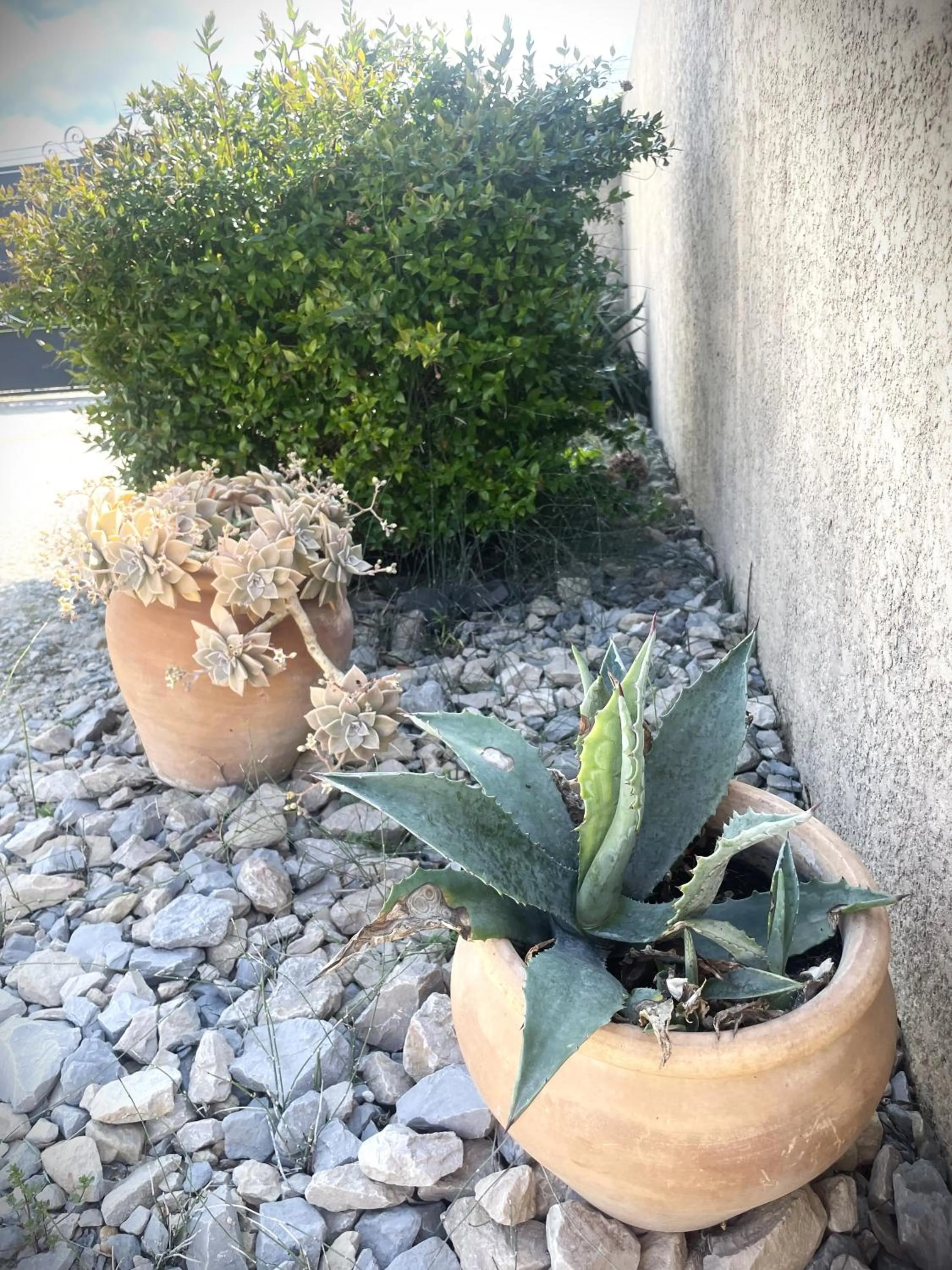 Le Mazet Chambre d'Hôtes