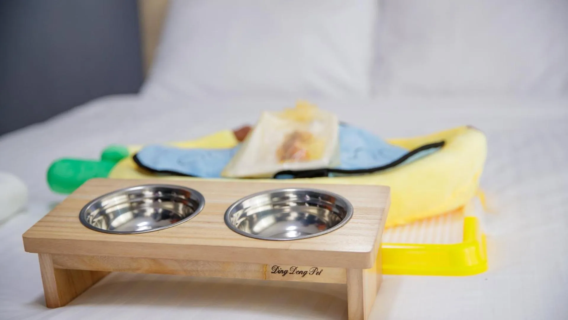 Animals in Jeju EQ Stay