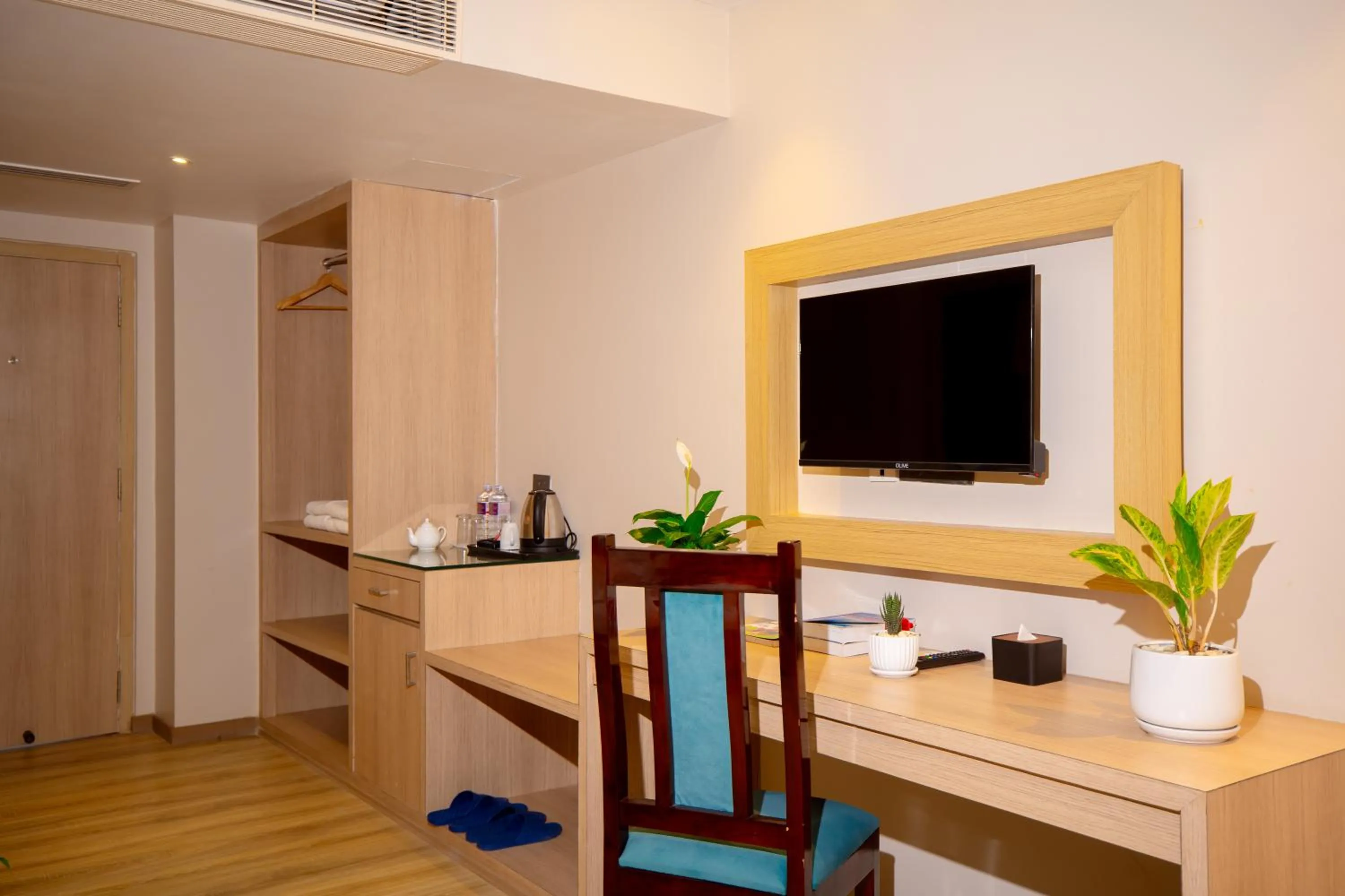 TV and multimedia in Velvet Luxe Hotel