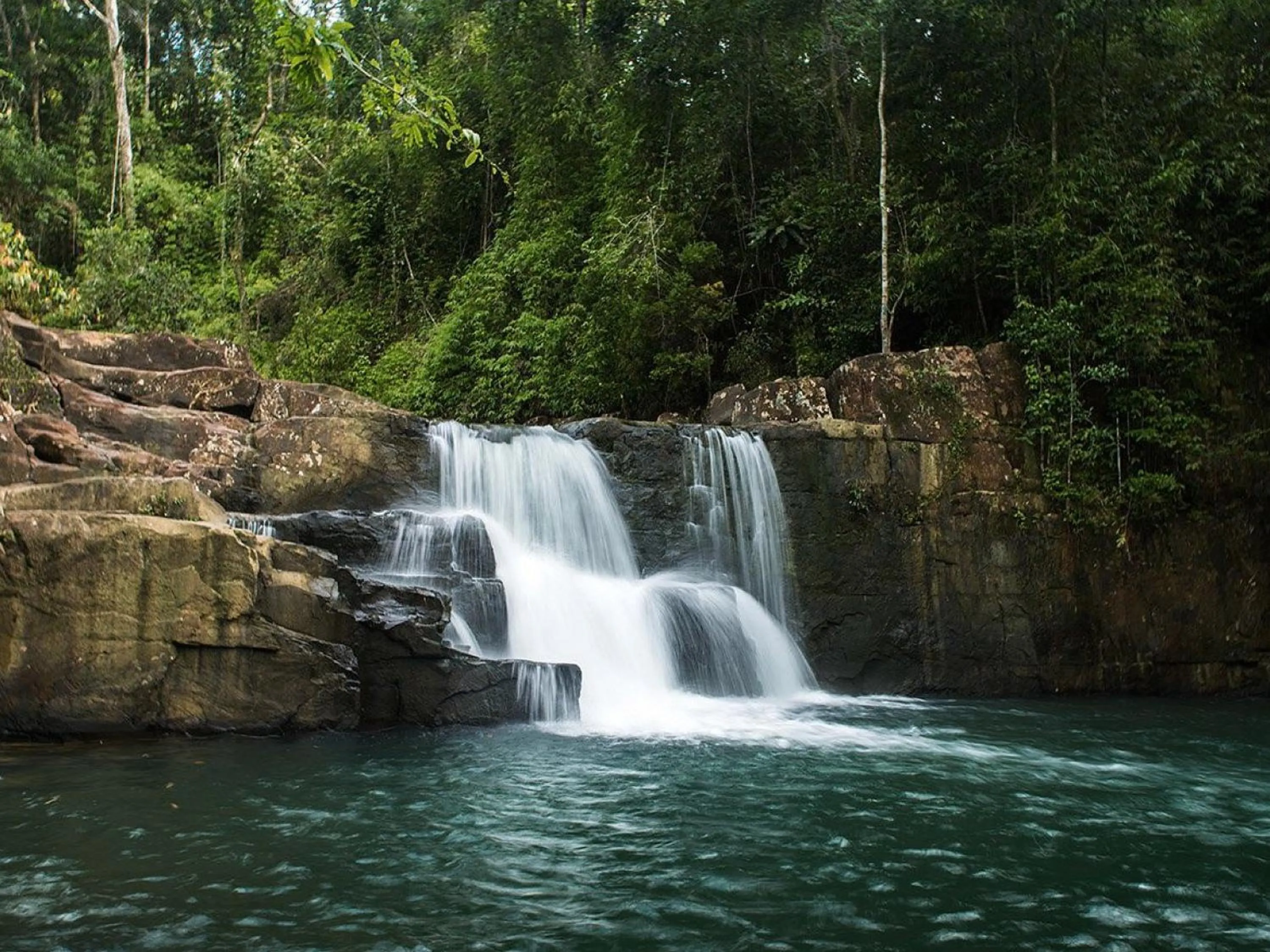 The Survival by Seudam