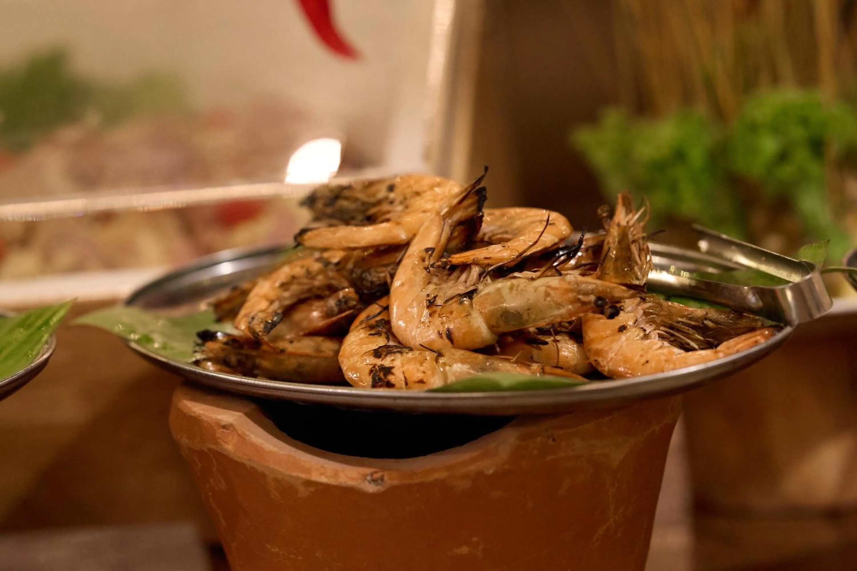 The Survival by Seudam