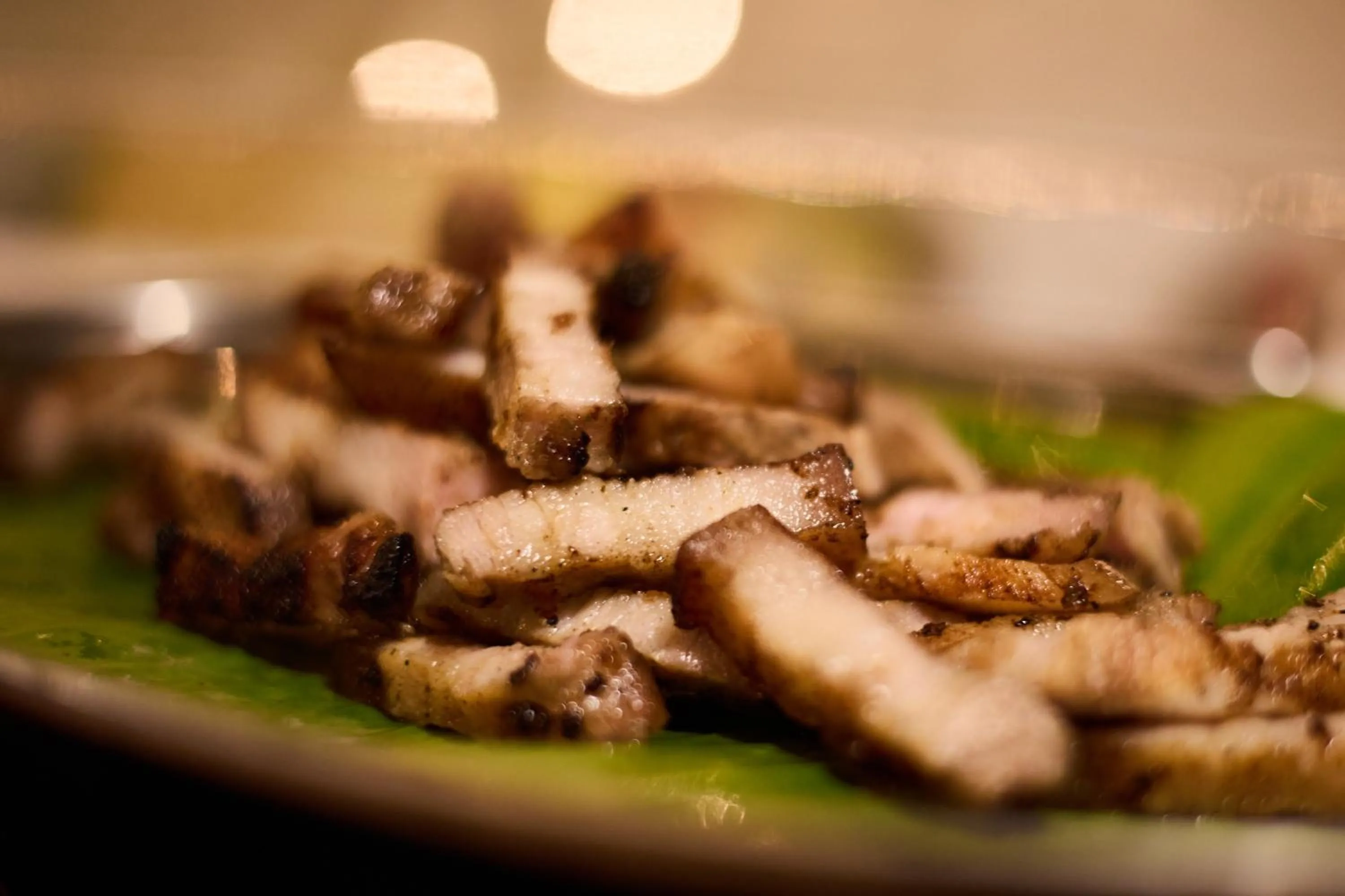 The Survival by Seudam