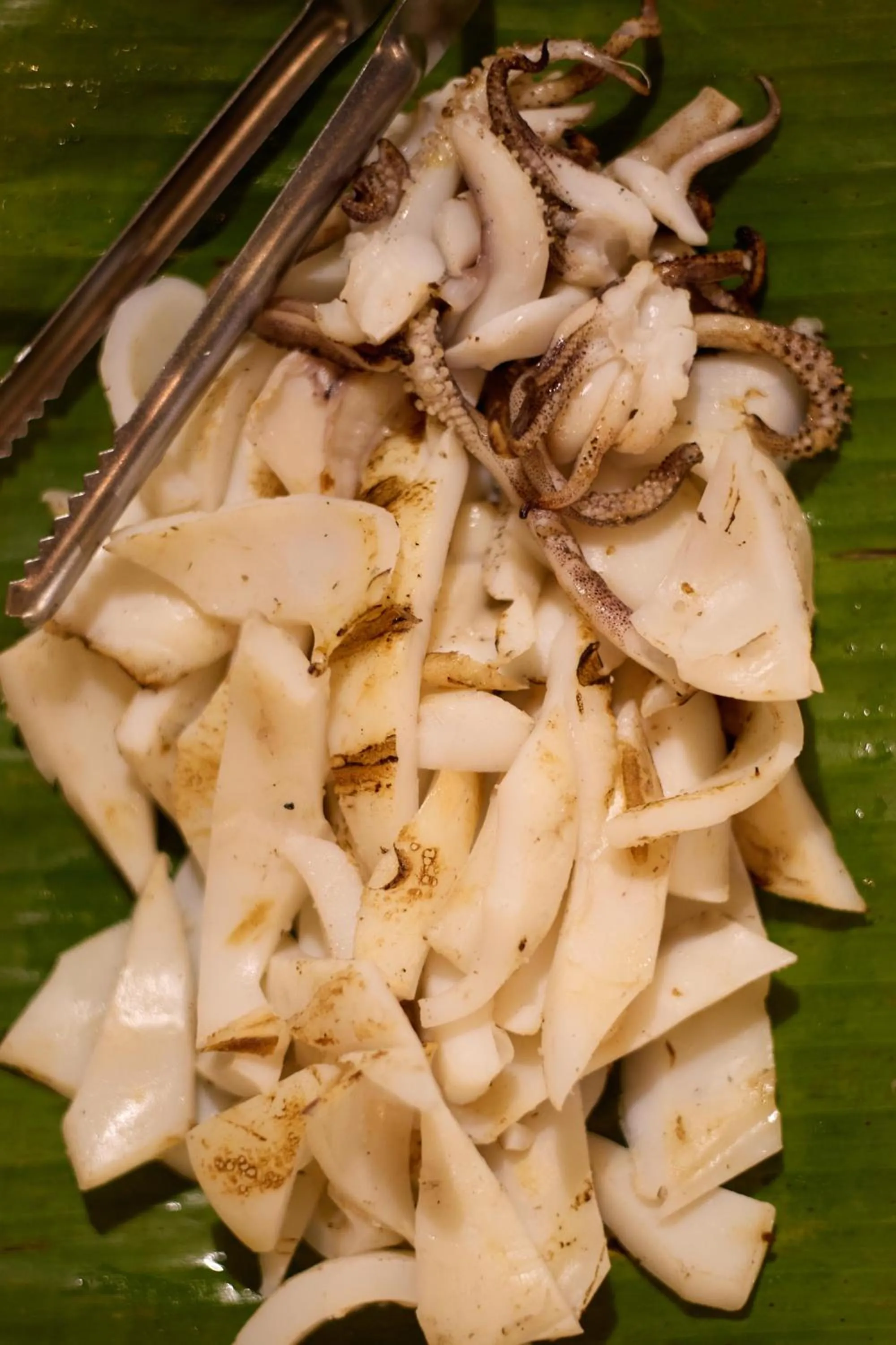 The Survival by Seudam