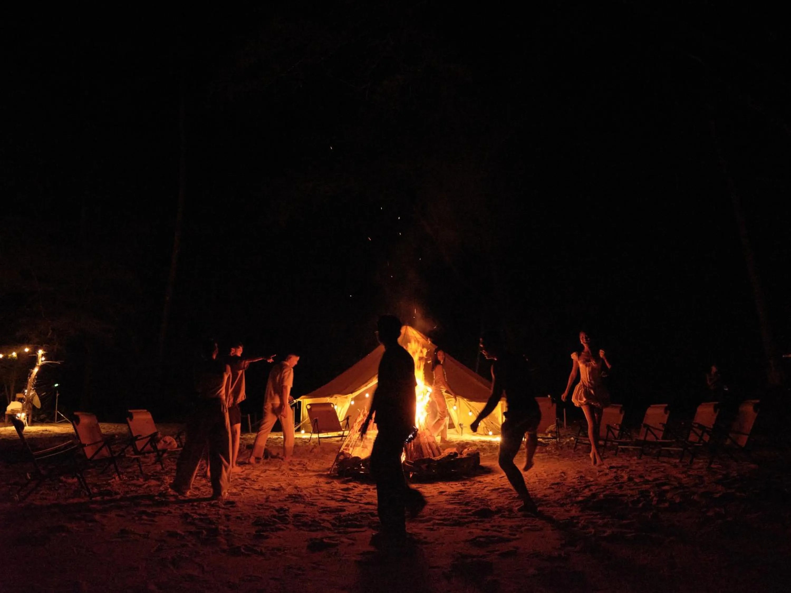 The Survival by Seudam