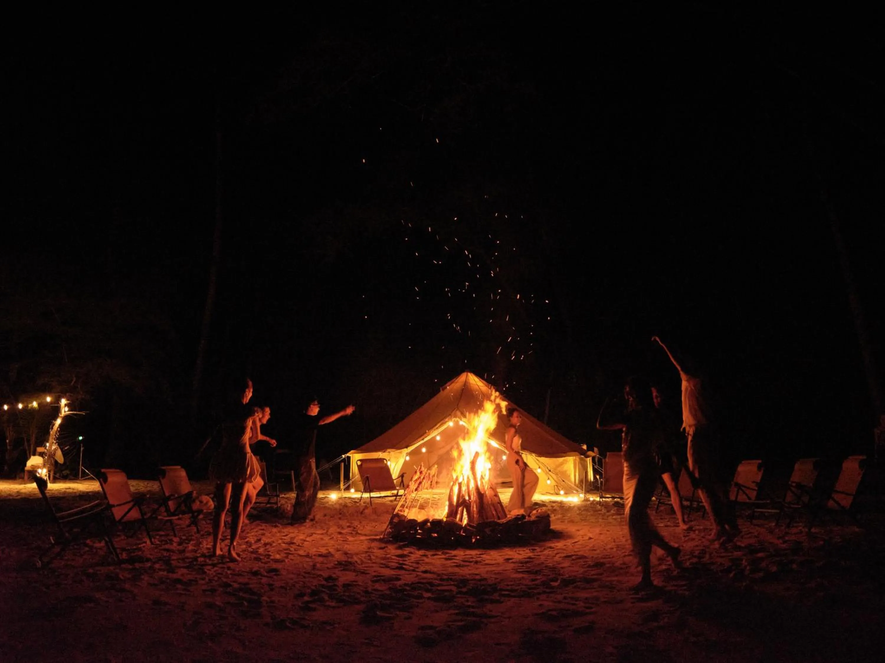 The Survival by Seudam