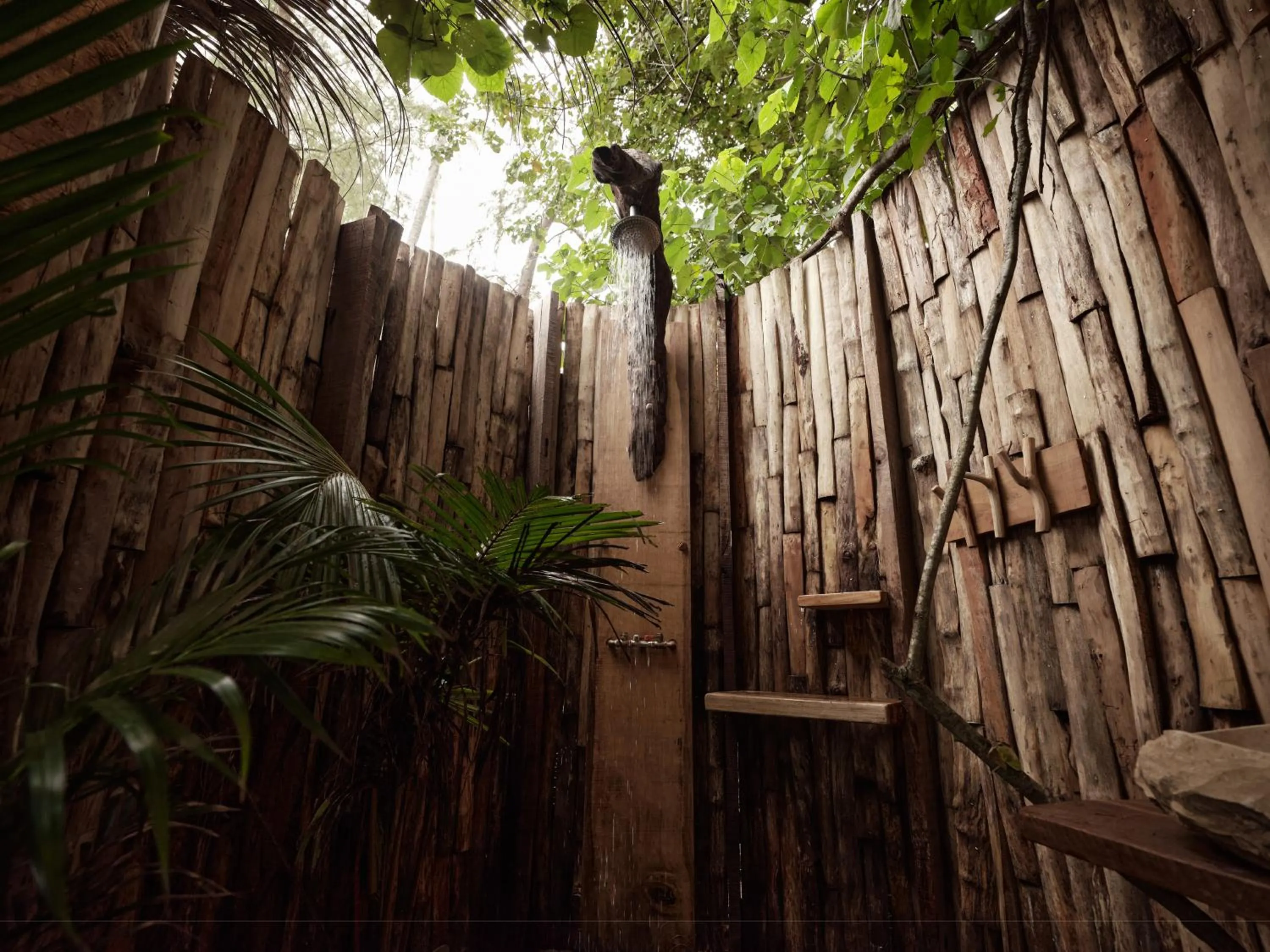 The Survival by Seudam