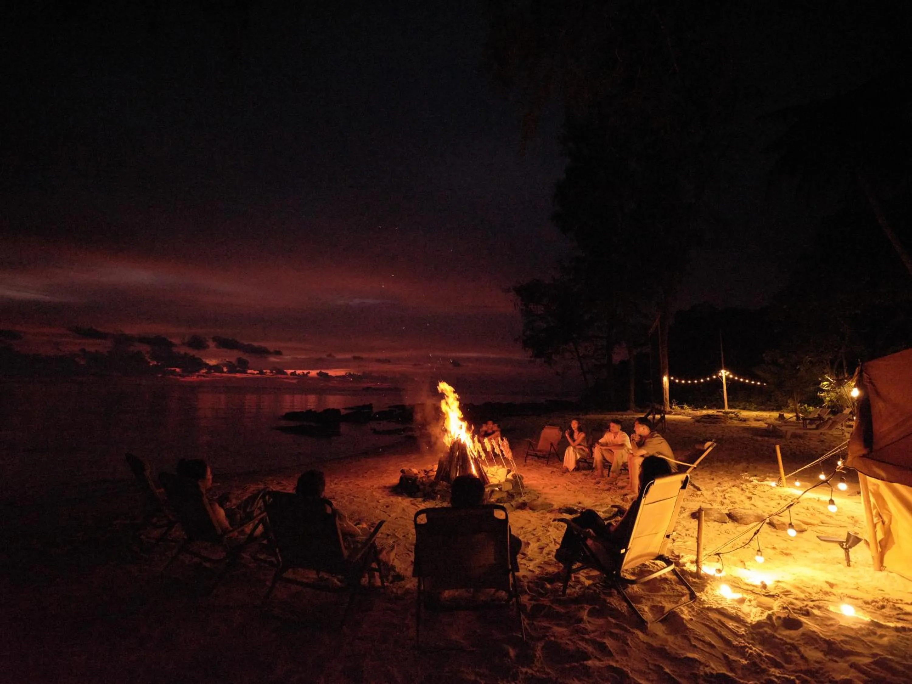 Night in The Survival by Seudam