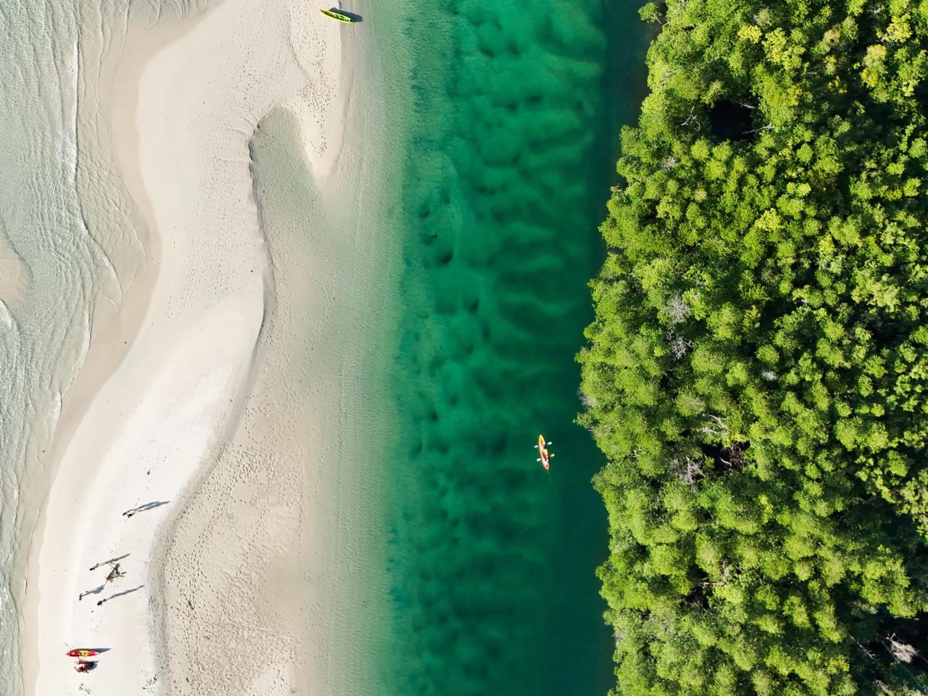 The Survival by Seudam